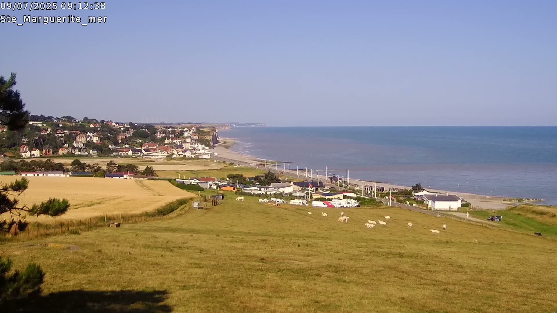 A coastal town with white buildings stretches along a sandy beach below high cliffs, under a clear blue sky, with a field of sheep in the foreground.