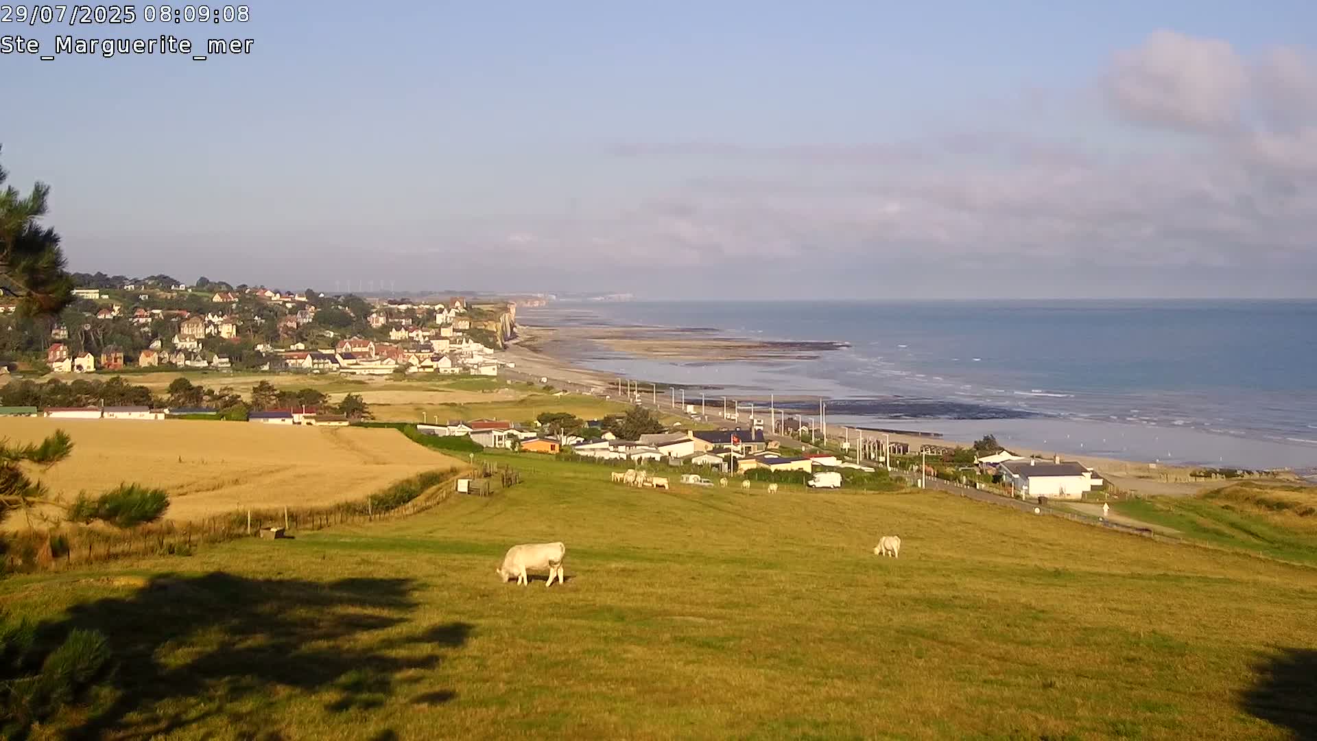 Sainte-Marguerite-sur-Mer City & Coast Skyline Live Cam - Dieppe, Seine-Maritime, Normandie, France 