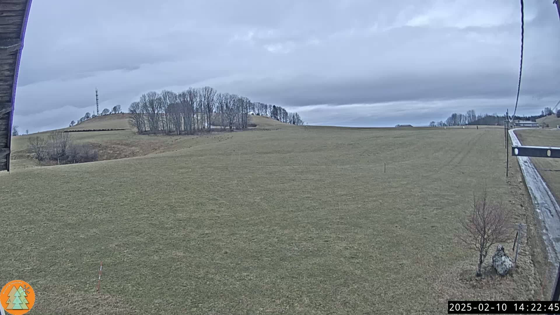 A wide, flat field stretches out under a cloudy sky, with a line of bare trees on a distant hill.
