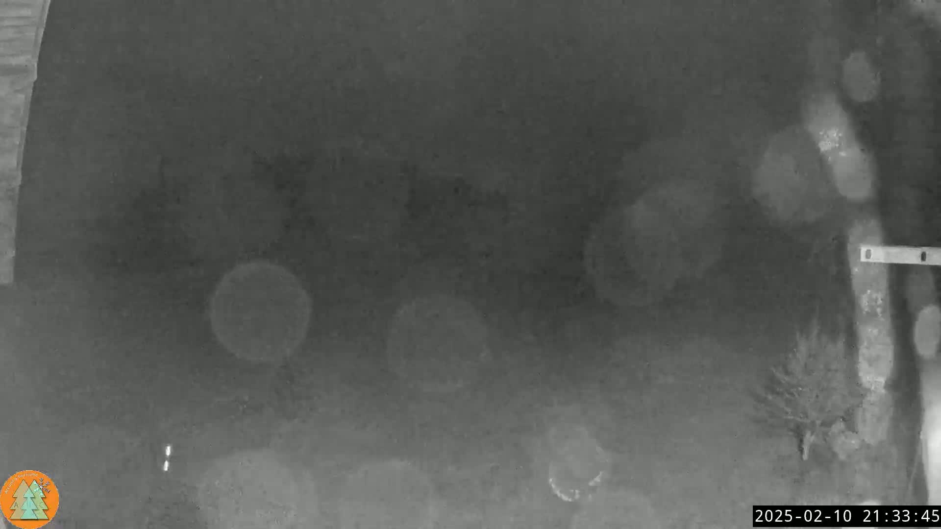 A grainy, low-light image shows a dark, mostly empty outdoor space at night with a few indistinct shapes and blurry lights.