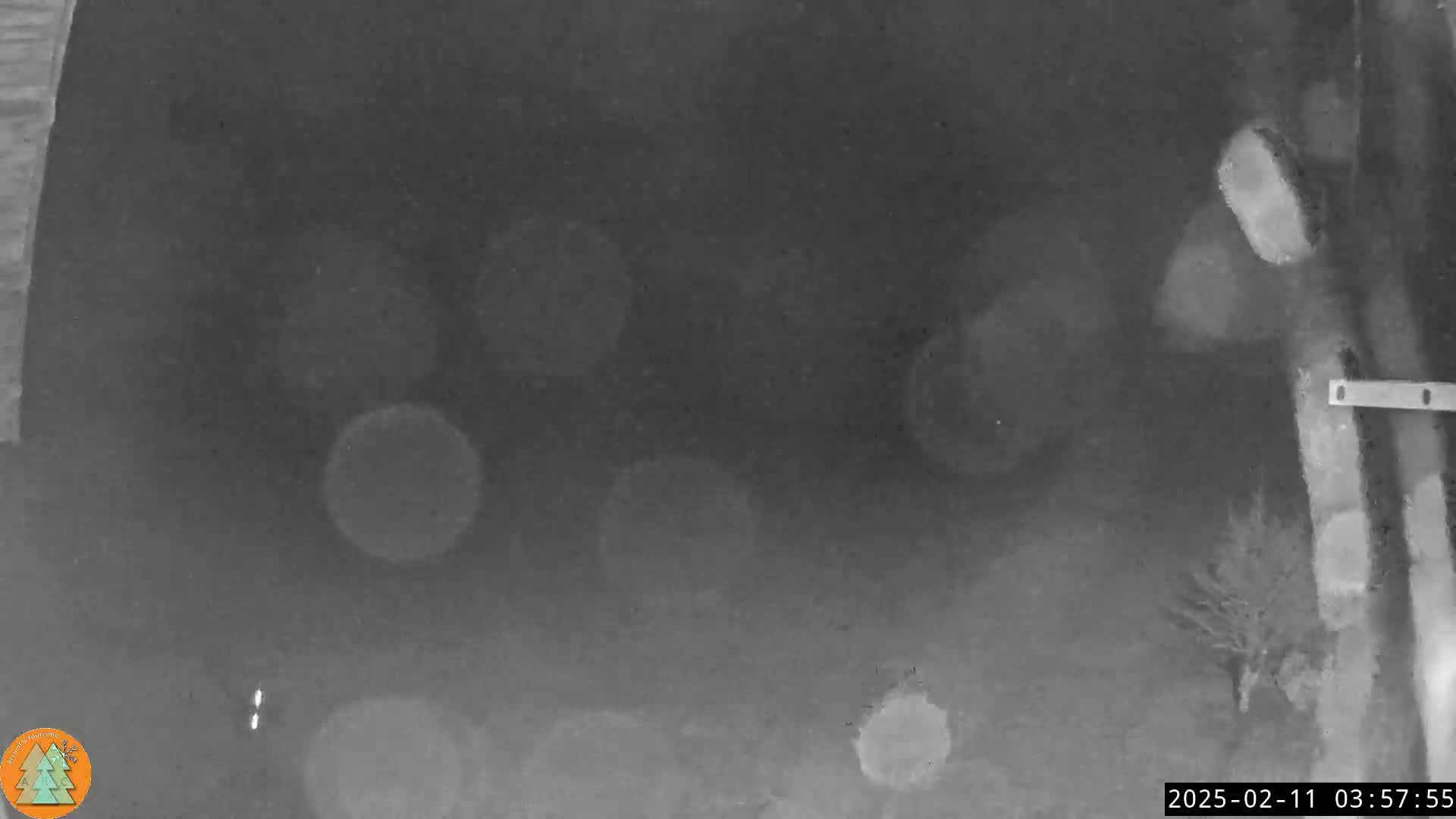 A nighttime, blurry, grayscale image shows an outdoor scene with indistinct shapes and some out-of-focus light sources.