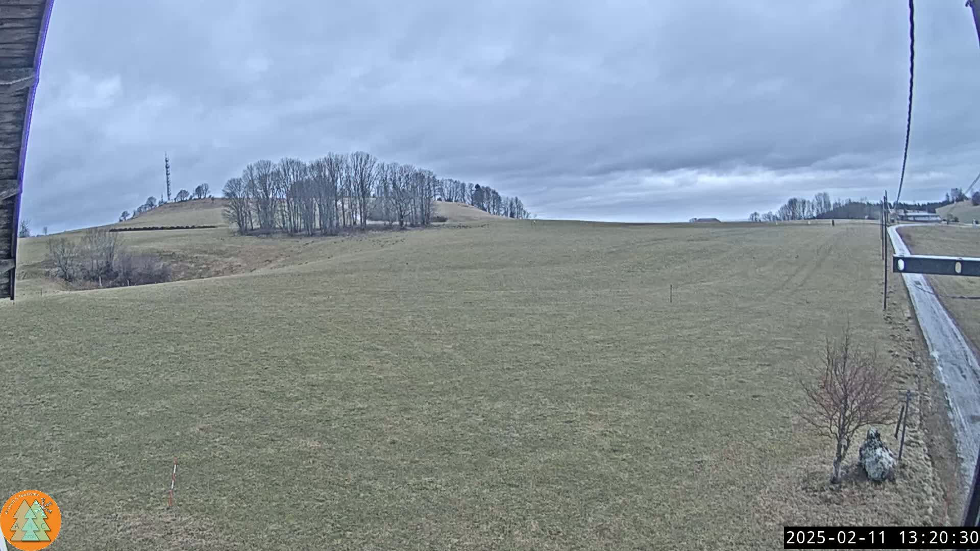 A wide, flat field stretches towards a distant hill topped with bare trees under a cloudy sky.