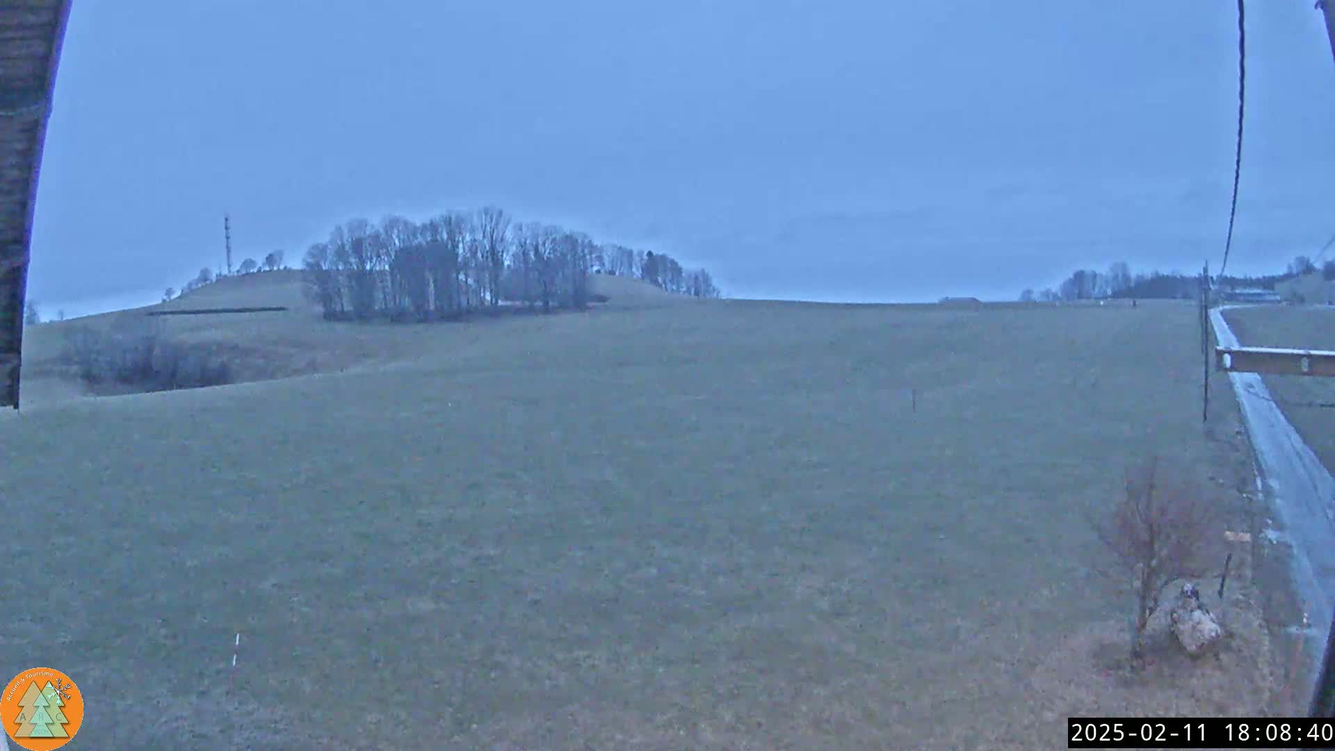 A flat, expansive field stretches out under a pale, overcast sky, with a line of trees atop a distant hill.