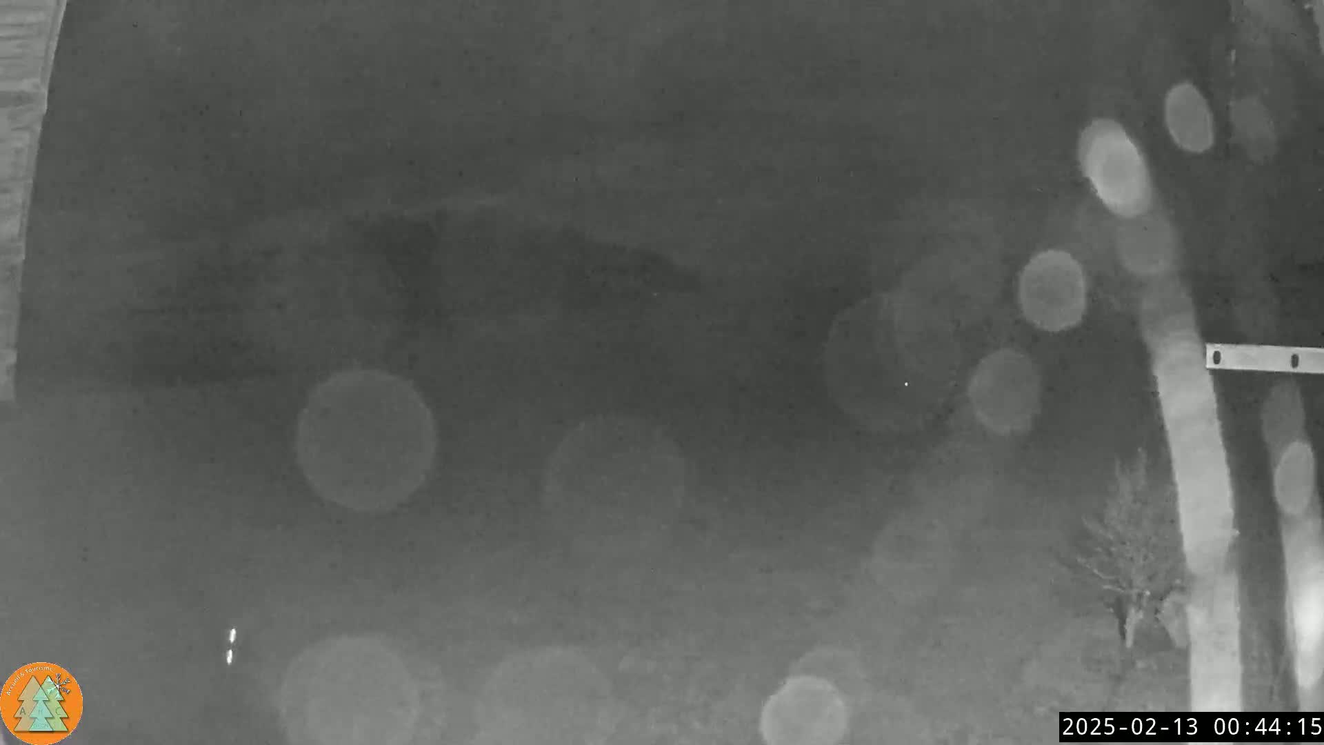 A grainy, low-light nighttime image shows an outdoor scene with blurry circular lights and a small tree in the lower right corner.