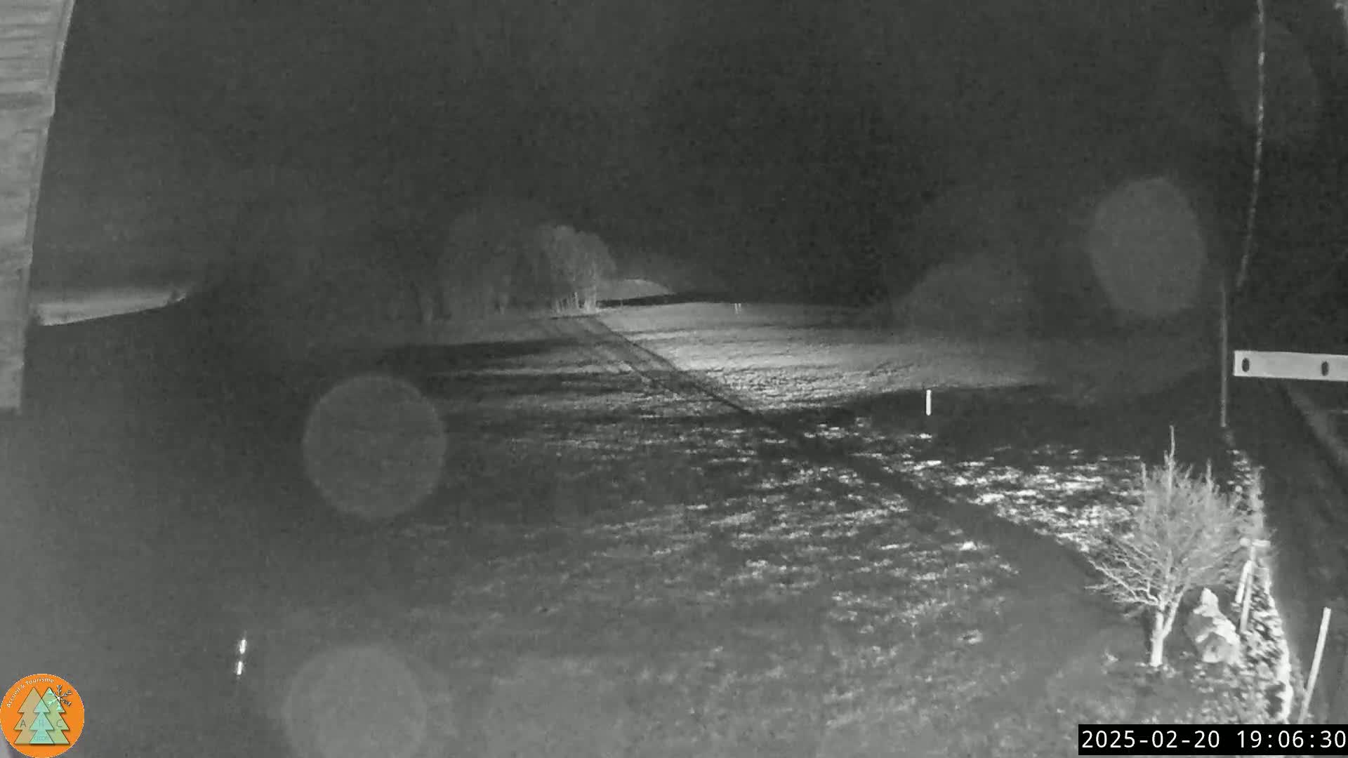 A nighttime, low-light view of a flat, grassy area with tire tracks, some small trees or shrubs, and a distant line of trees.