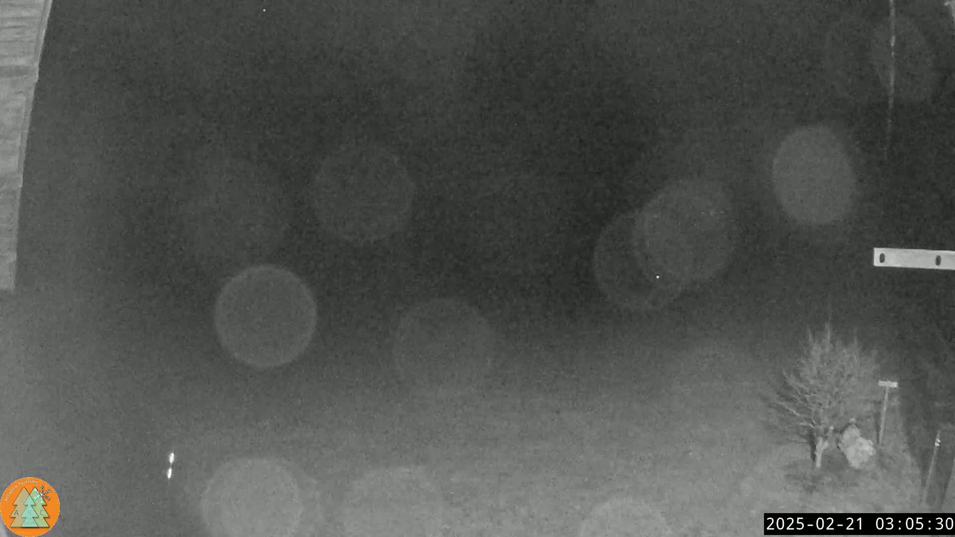 A nighttime, low-light image shows a dark, mostly empty field with a small tree in the bottom right corner and several blurry, bright spots in the sky.