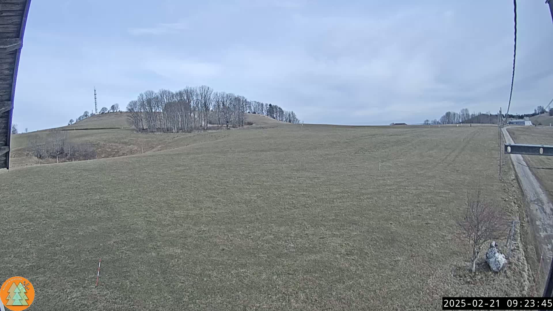 A large, flat field of brown grass stretches to a distant line of bare trees under a mostly cloudy sky.