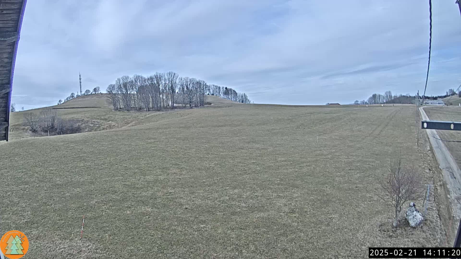 A wide, flat, brown field stretches to a distant line of bare trees under a mostly cloudy sky.
