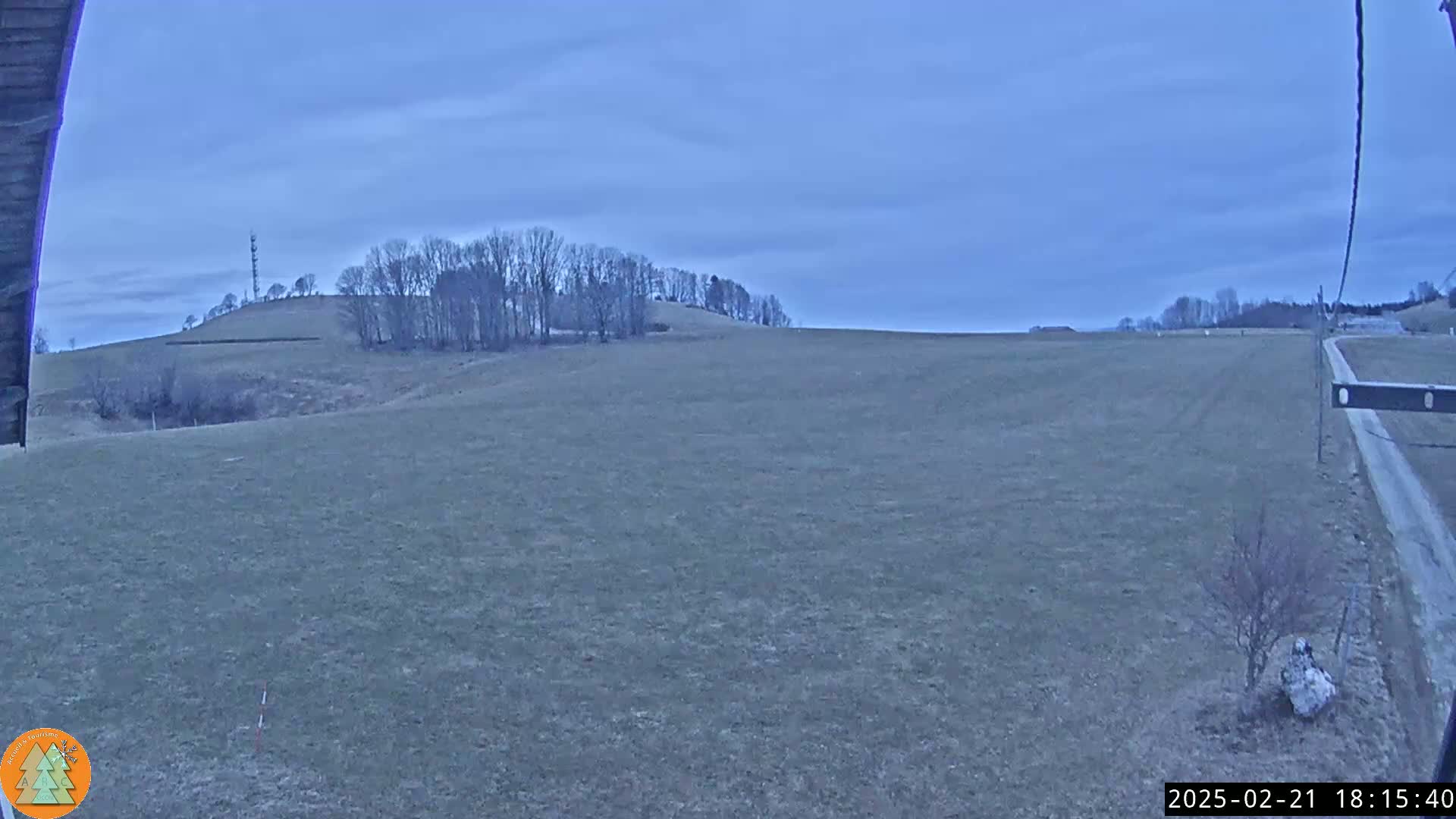 A flat, brown field stretches to a hill topped with bare trees under a cloudy, dusky sky.