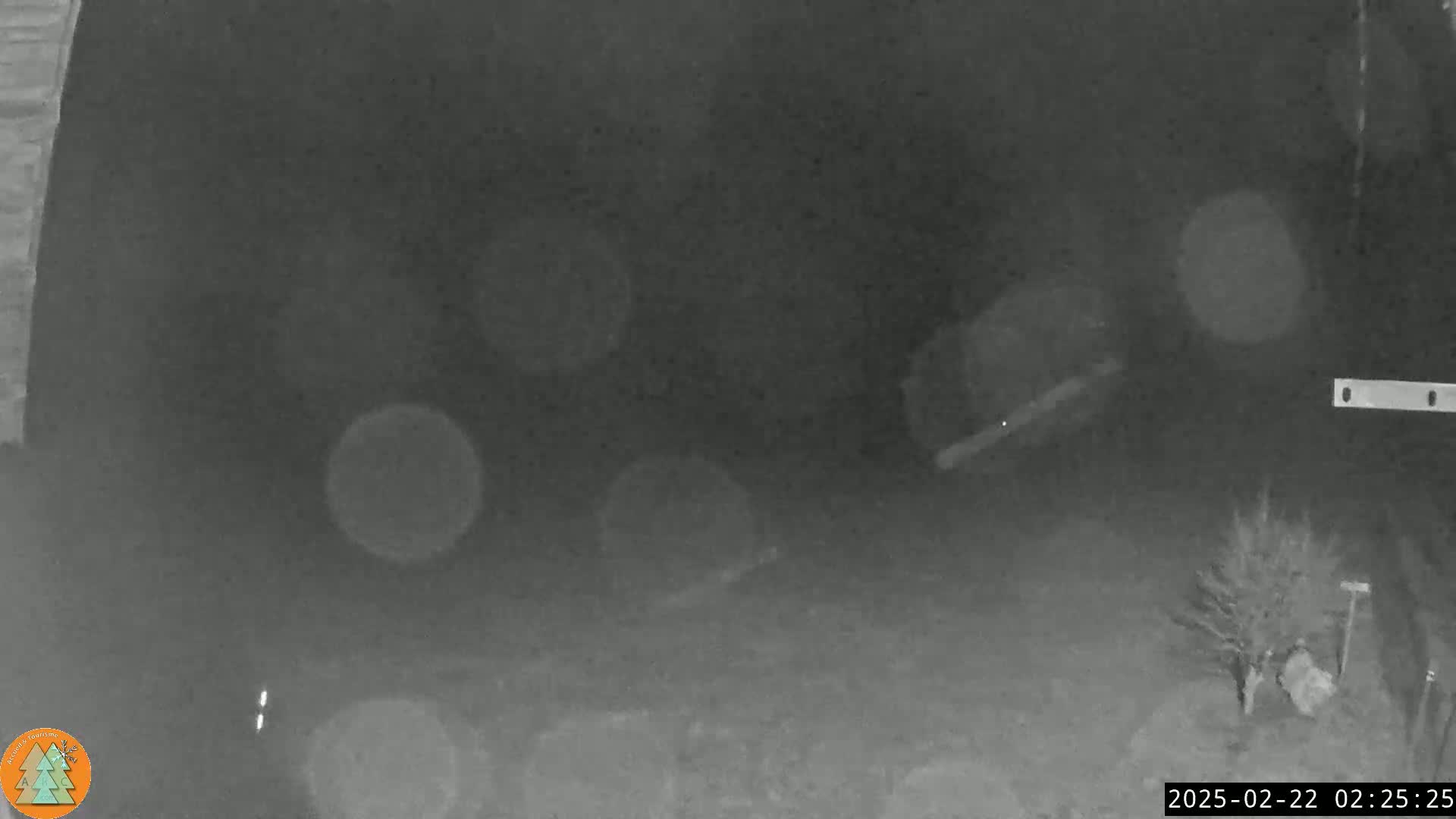 A blurry, nighttime, low-light image shows a dark yard with a small tree and some out-of-focus objects in the background, possibly due to rain or fog.