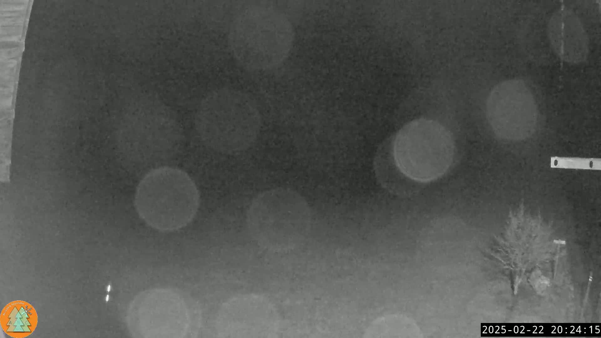 A nighttime, blurry, grayscale image shows out-of-focus light sources and a small tree in the lower right corner under snowy or overcast conditions.