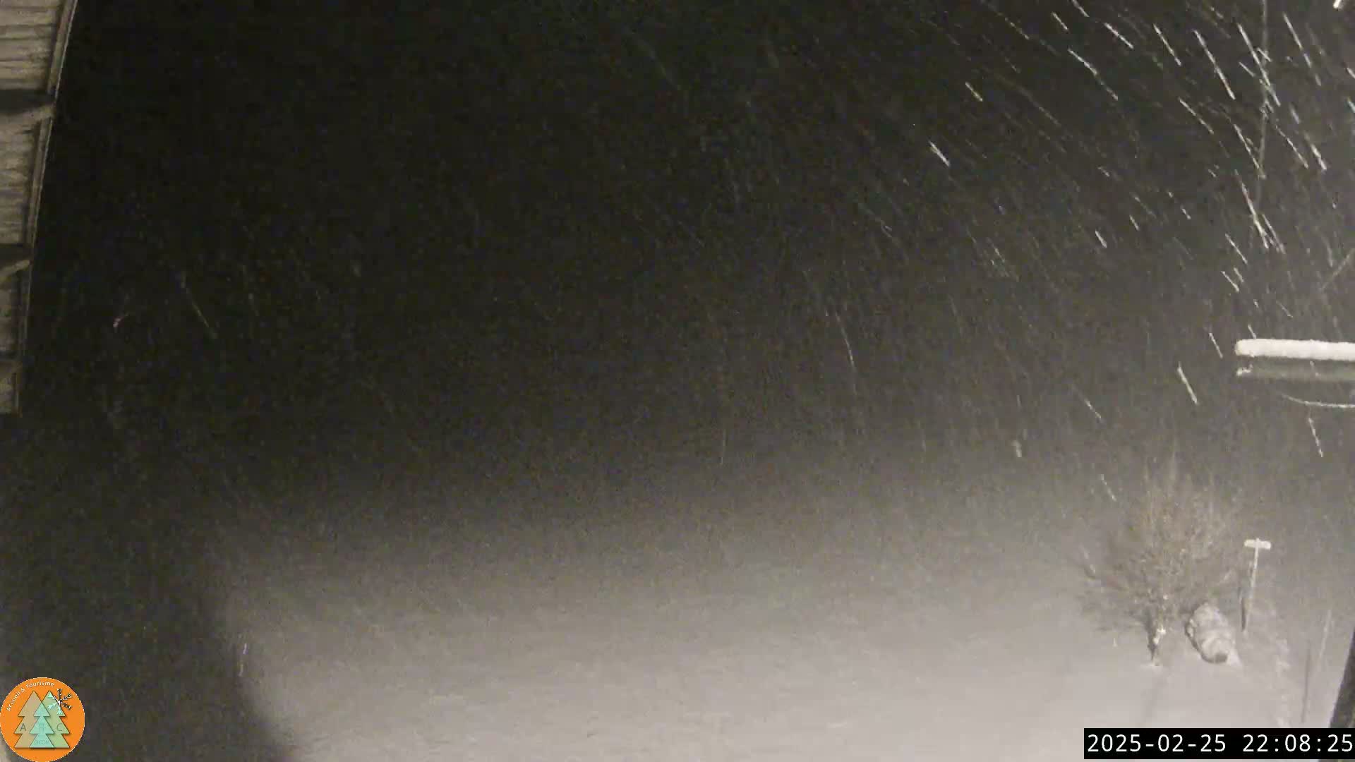 A nighttime, snowy scene shows a partially visible building and a snow-covered bush or small tree.