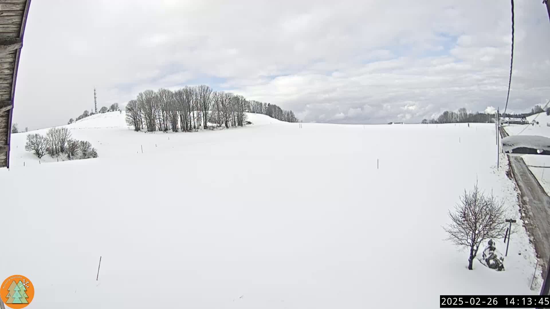 A snow-covered field stretches out under a cloudy sky, with a line of bare trees on a distant hill.
