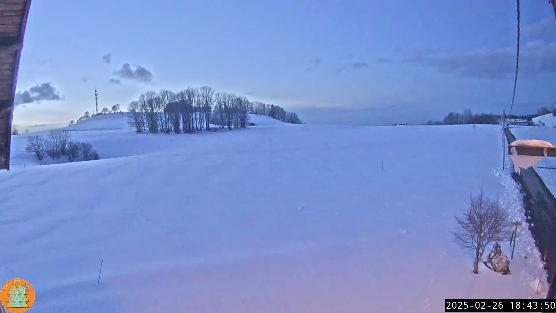 A snow-covered field stretches out under a twilight sky, with a line of leafless trees visible on a distant hill.