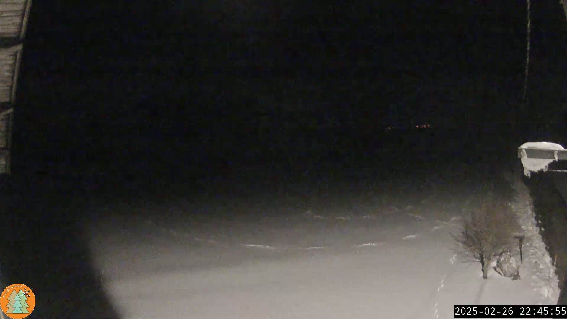 A nighttime, snowy scene is visible from inside a dark structure, showing a small tree and a snow-covered ground outside.