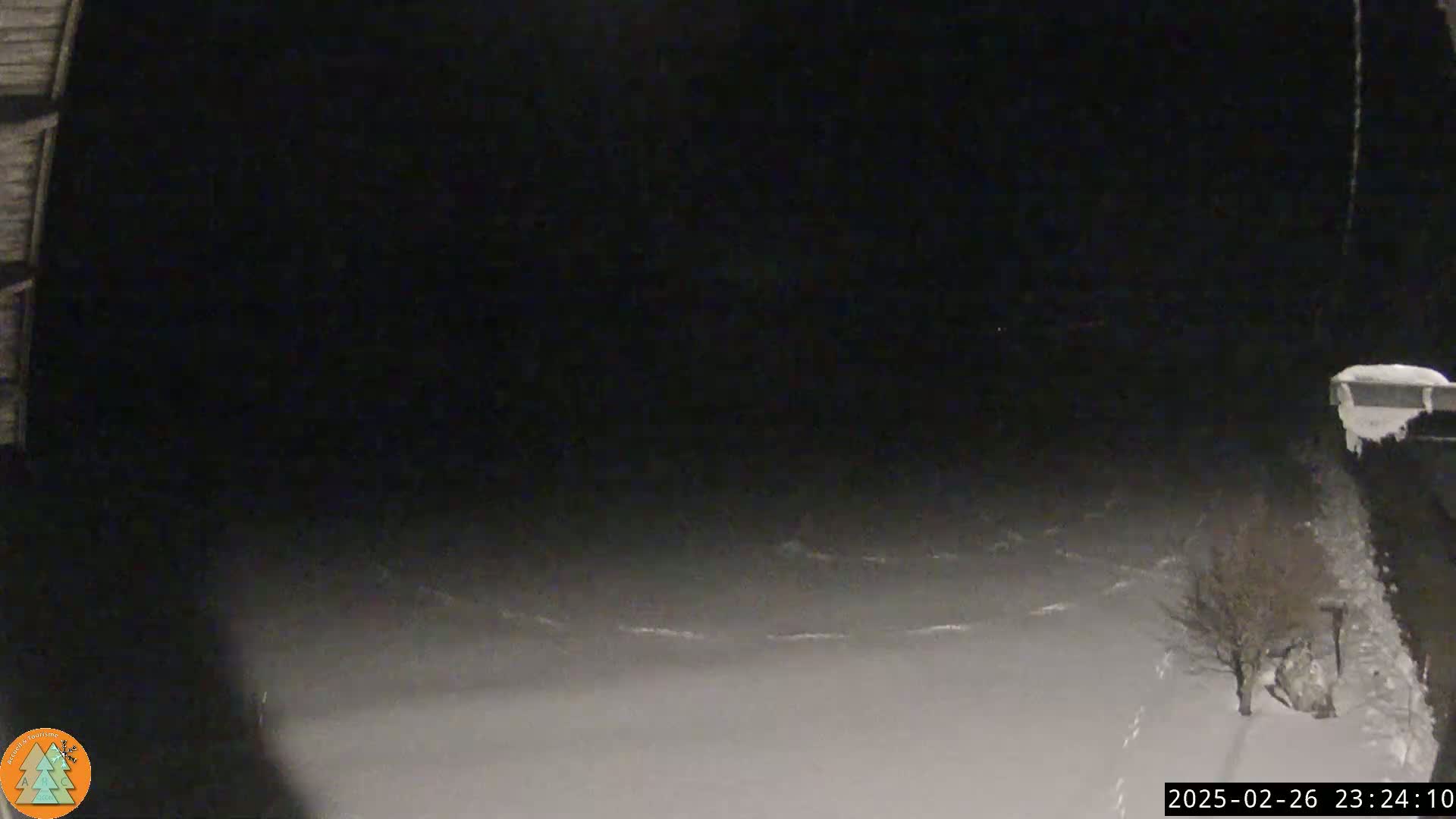 A nighttime snow-covered scene is visible, showing a small tree and some faint tracks in the snow.