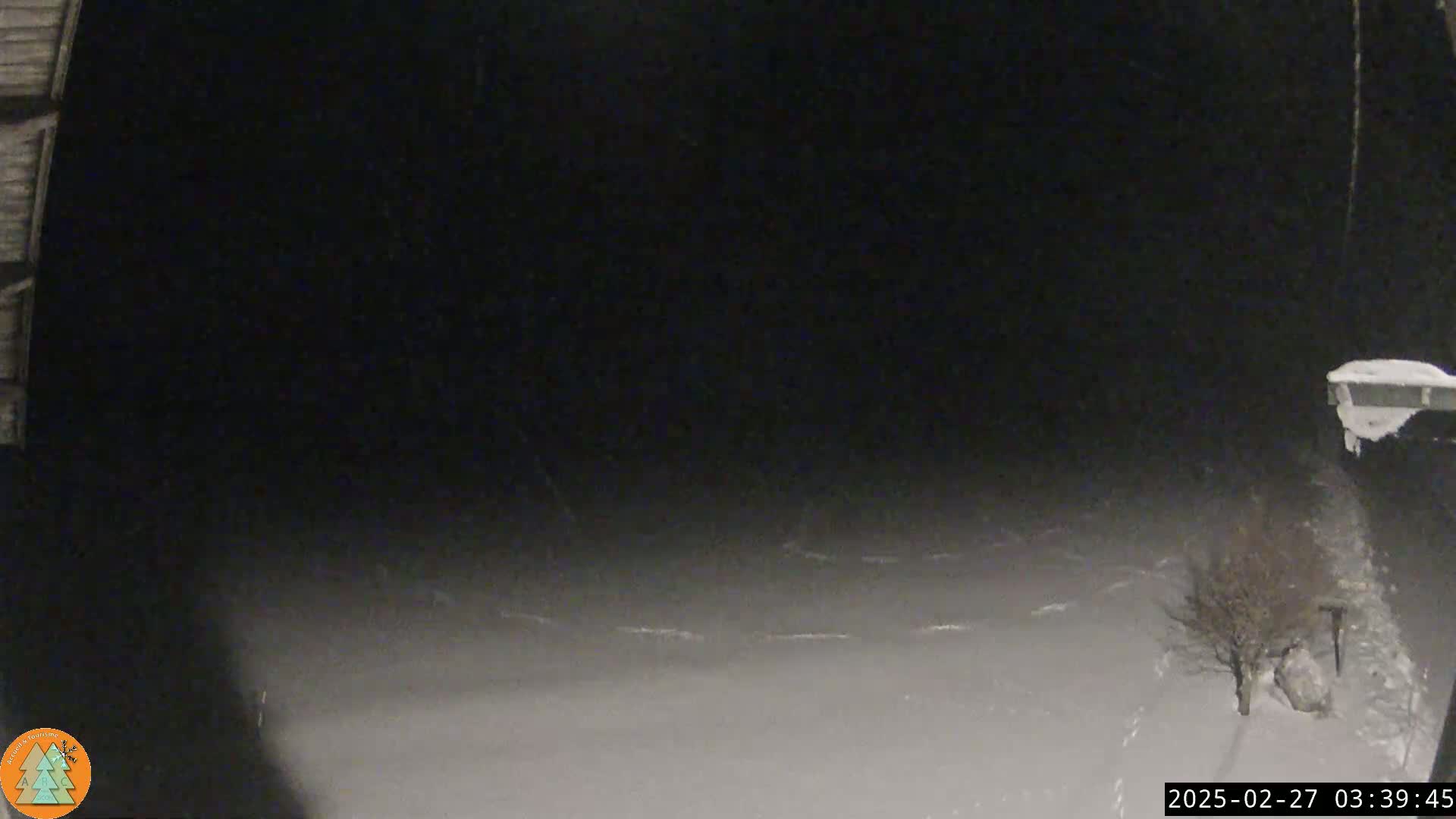 A snow-covered ground is visible at night, with a small tree and part of a building in the lower right corner.