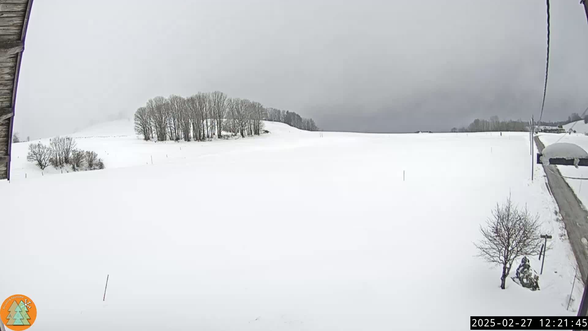 A snow-covered field stretches to a line of bare trees under an overcast sky.