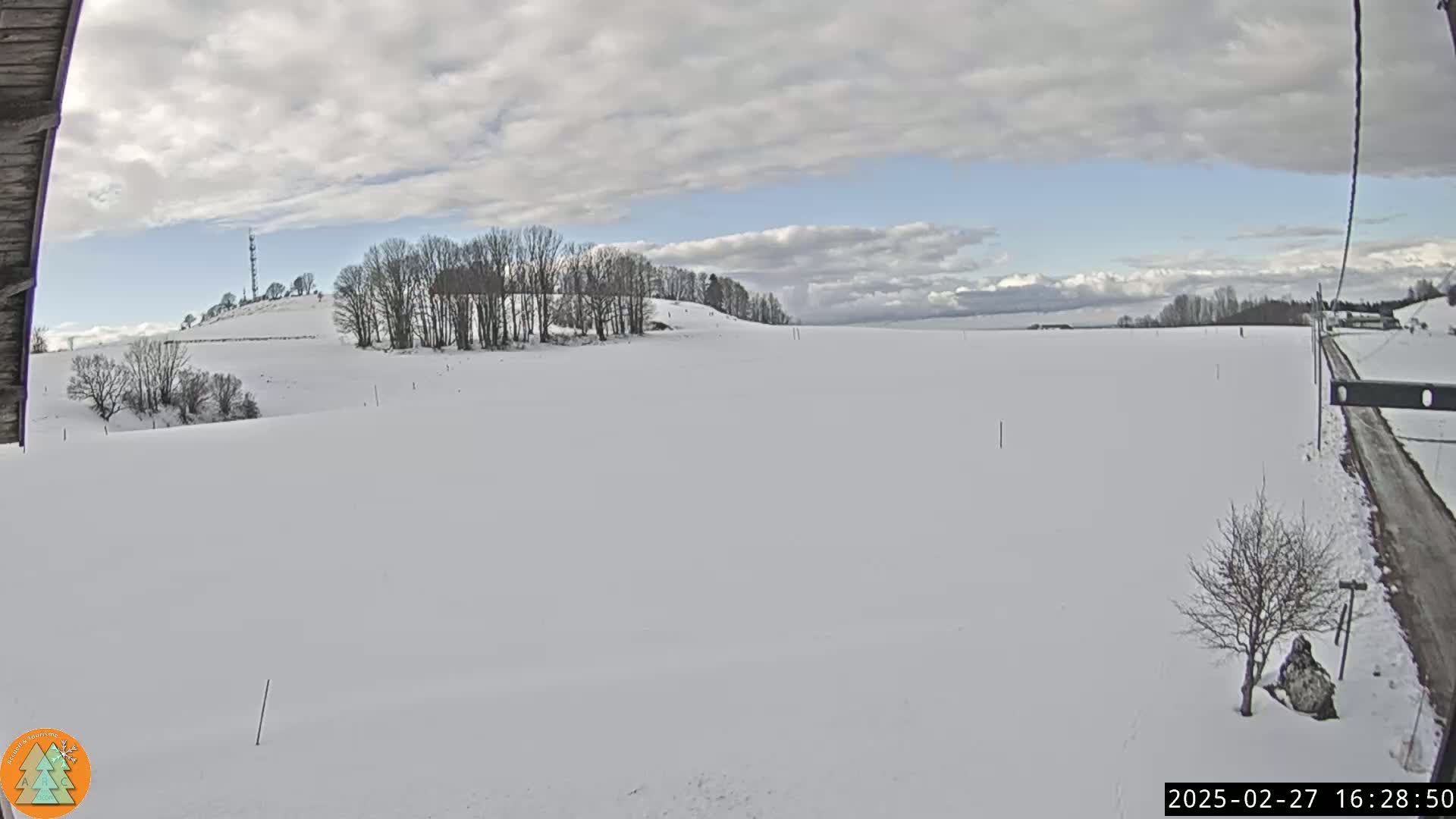 A snow-covered field stretches to a line of bare trees on a cloudy but bright day.