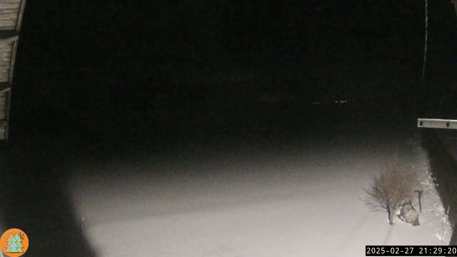 A snow-covered ground is visible at night, with a few bare bushes in the foreground and distant faint lights.