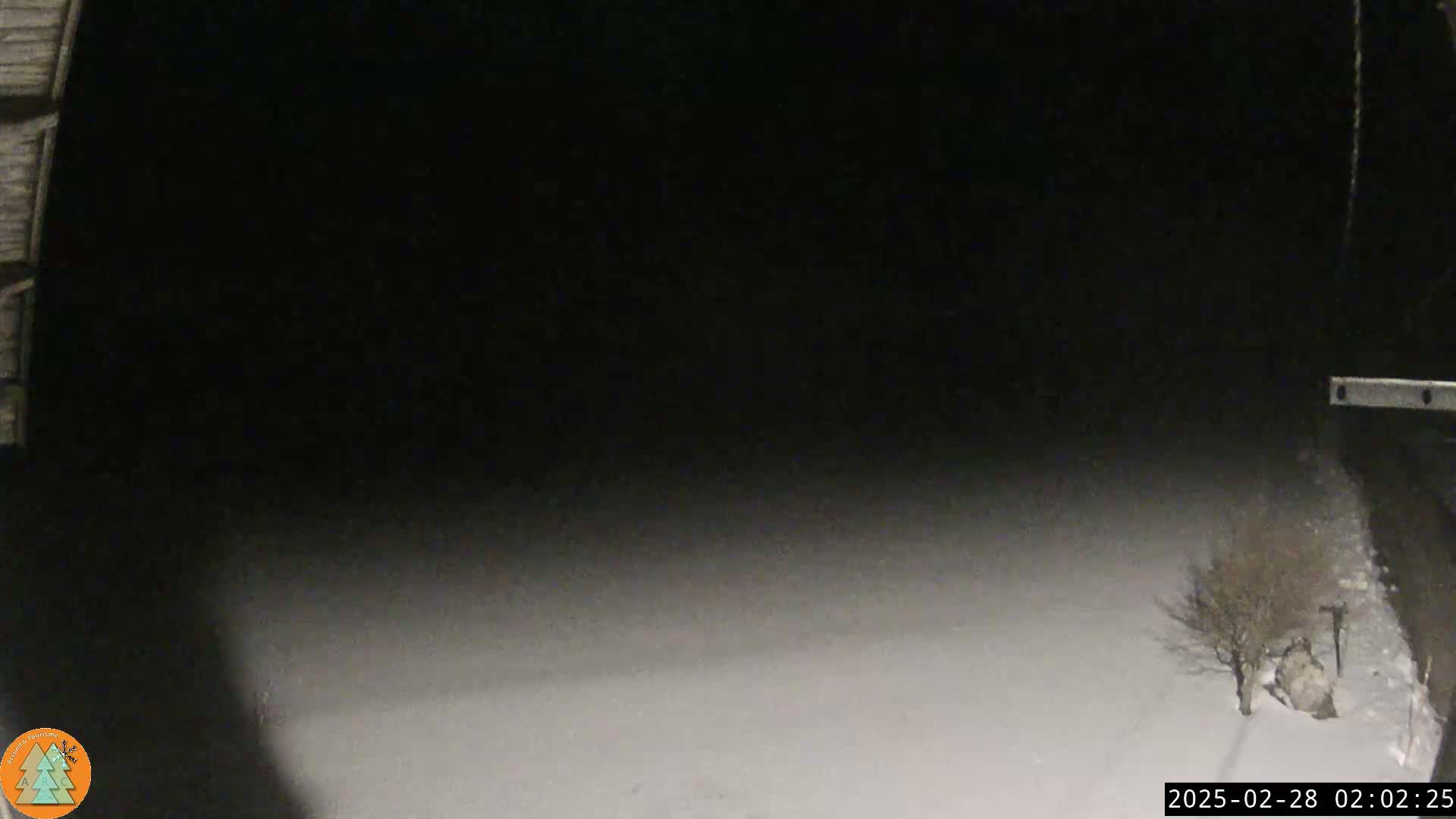 A snow-covered ground is visible from a dark, enclosed space at night, with a lone bare tree in the bottom right corner.