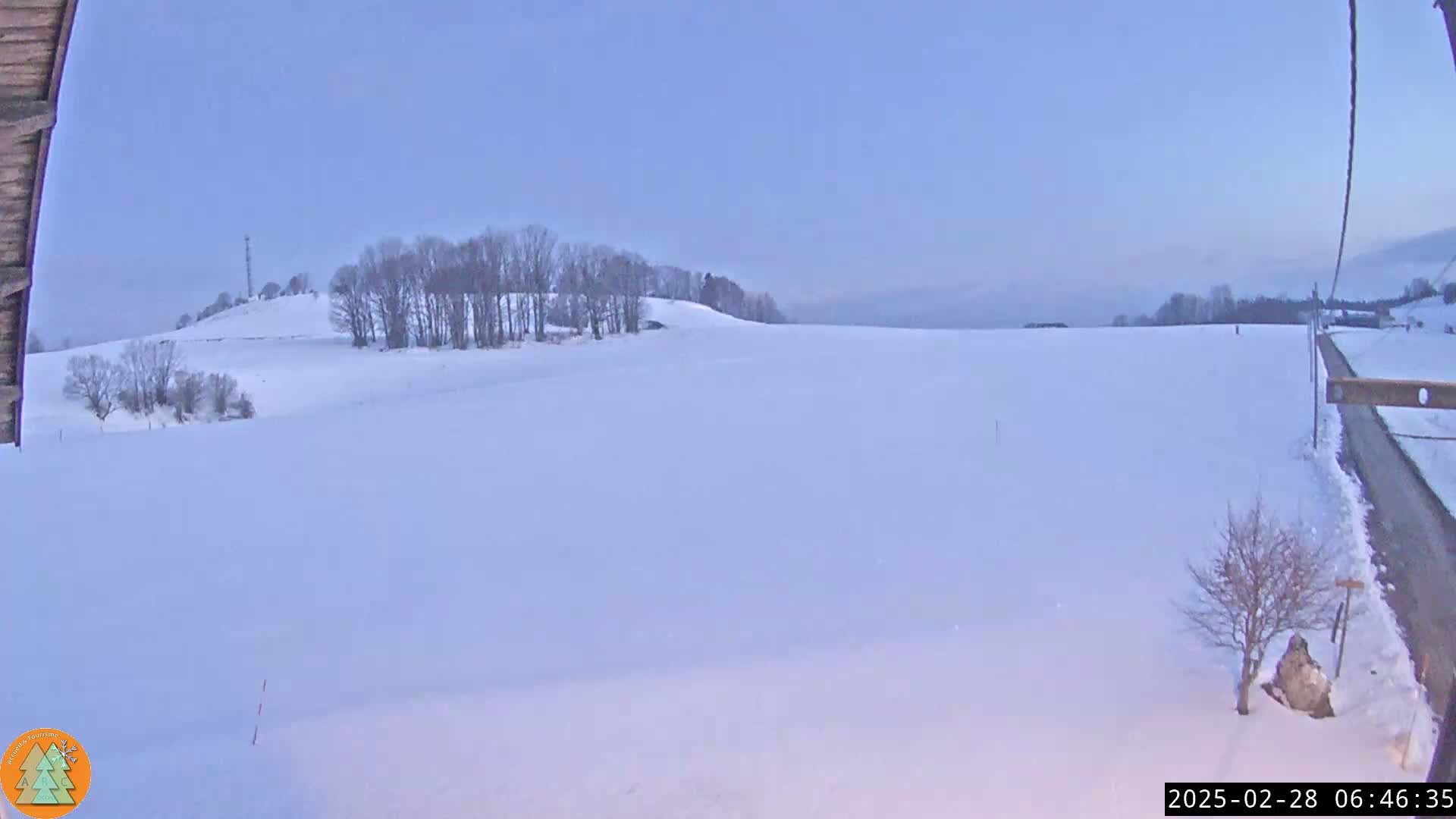 A snow-covered field stretches to a line of bare trees on a hill under a pale, twilight sky.