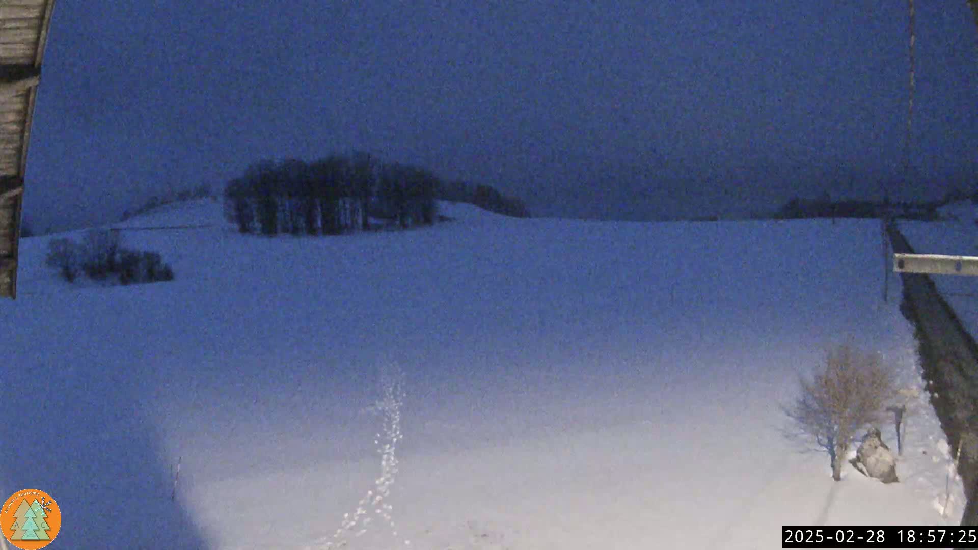 A snow-covered landscape is visible at twilight, with a few bare trees and a distant line of trees on a hill.