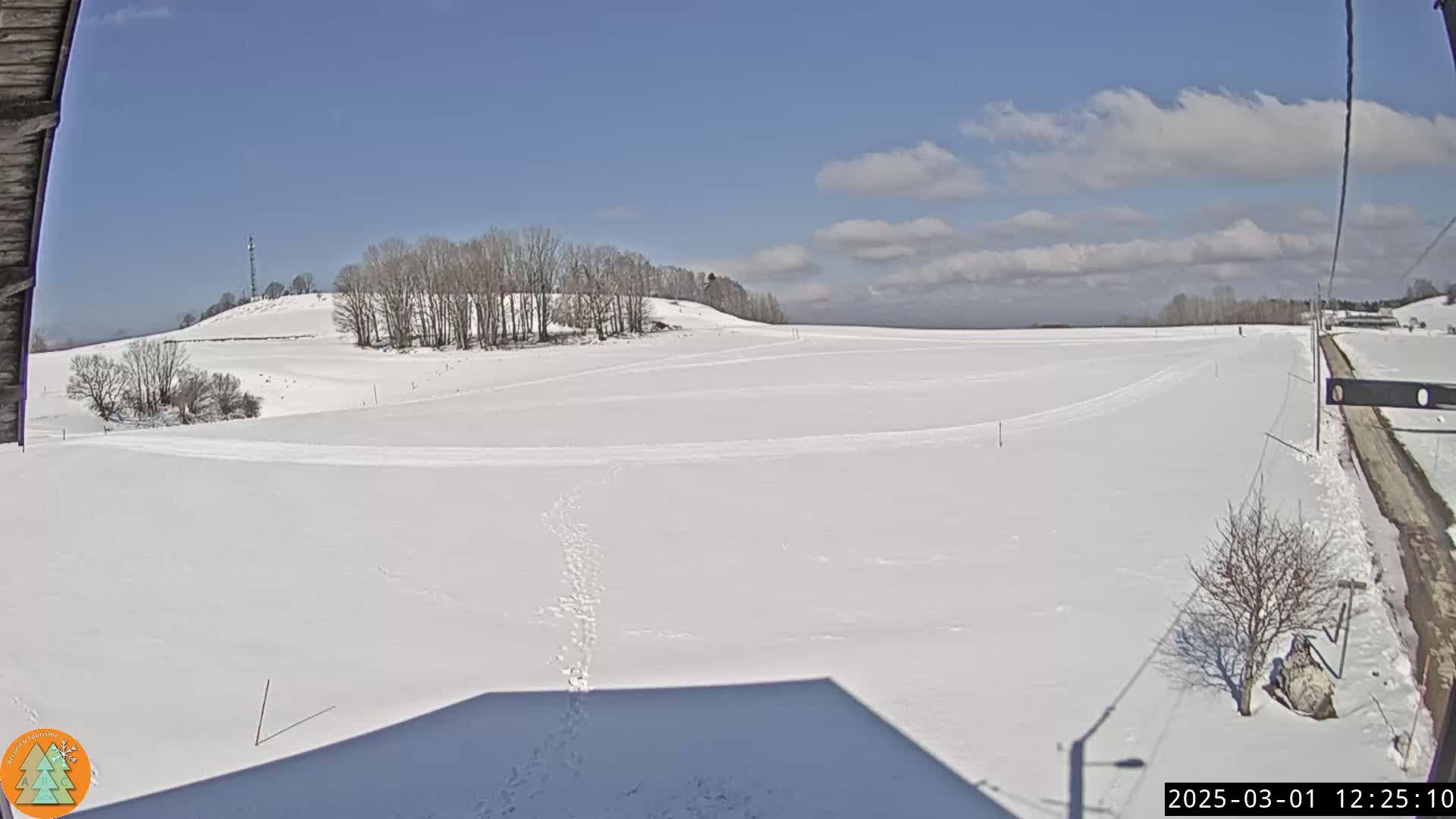 A snow-covered field stretches out under a mostly sunny sky, with a few wispy clouds, and bare trees are visible on a hill in the distance.