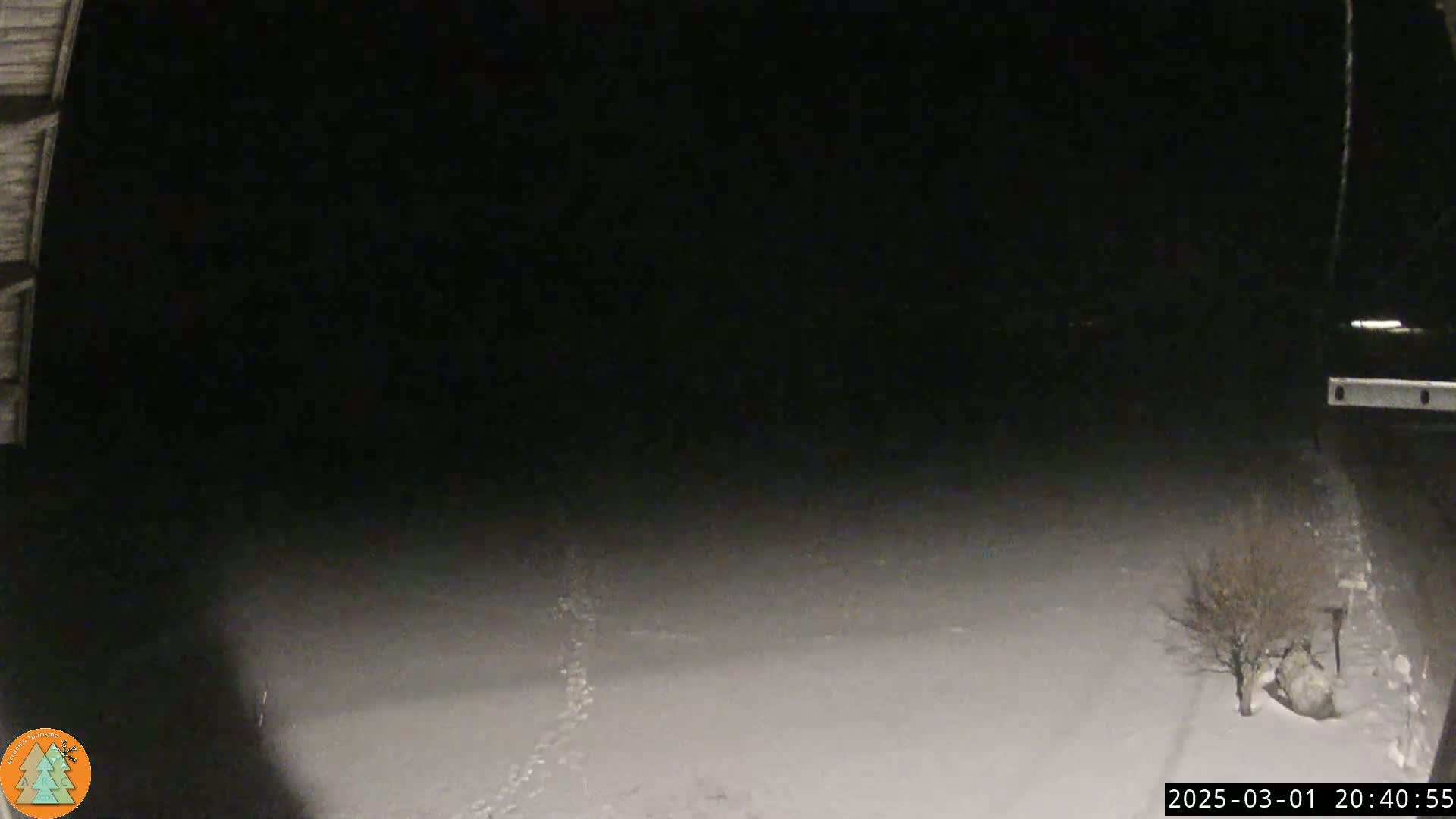 A snow-covered ground is visible at night, with a small bare tree in the bottom right corner and faint footprints leading toward the center.