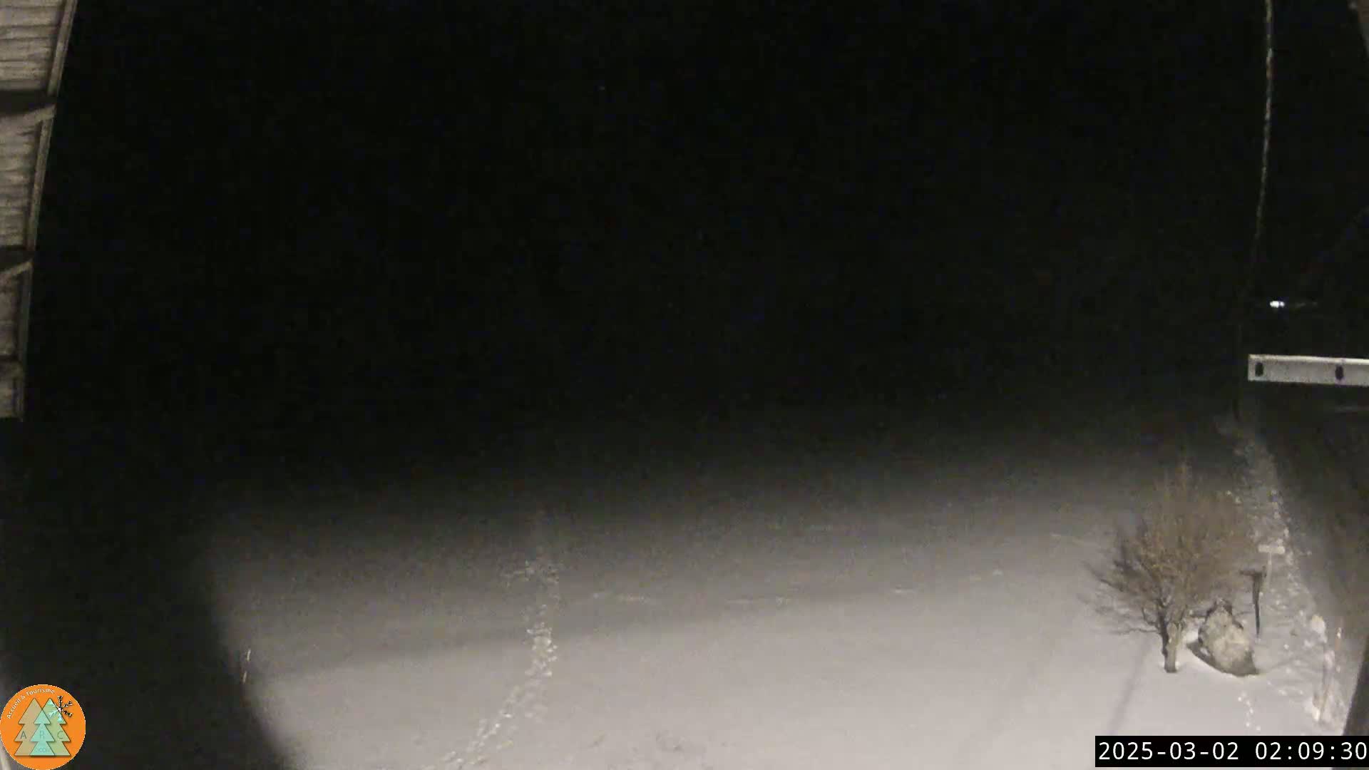 A nighttime, snow-covered ground is visible from a partially enclosed area, with a small, bare tree in the bottom right corner.