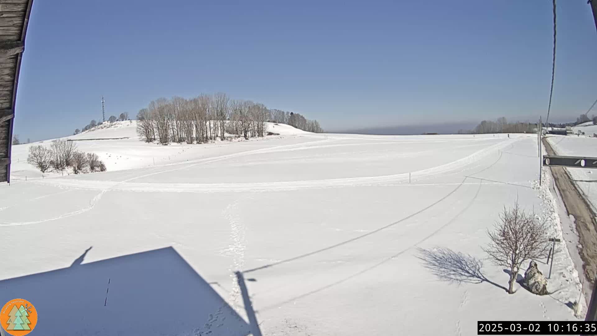 A snow-covered field stretches out under a clear blue sky, with a few bare trees and a dirt road visible in the distance.