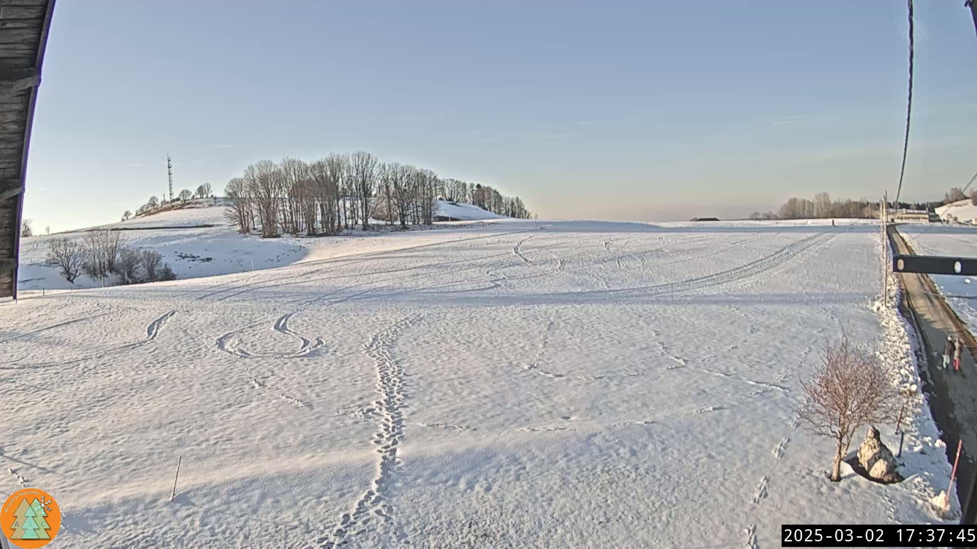 A snow-covered field with footprints and tire tracks stretches out under a clear, bright sky, with a line of trees in the distance.