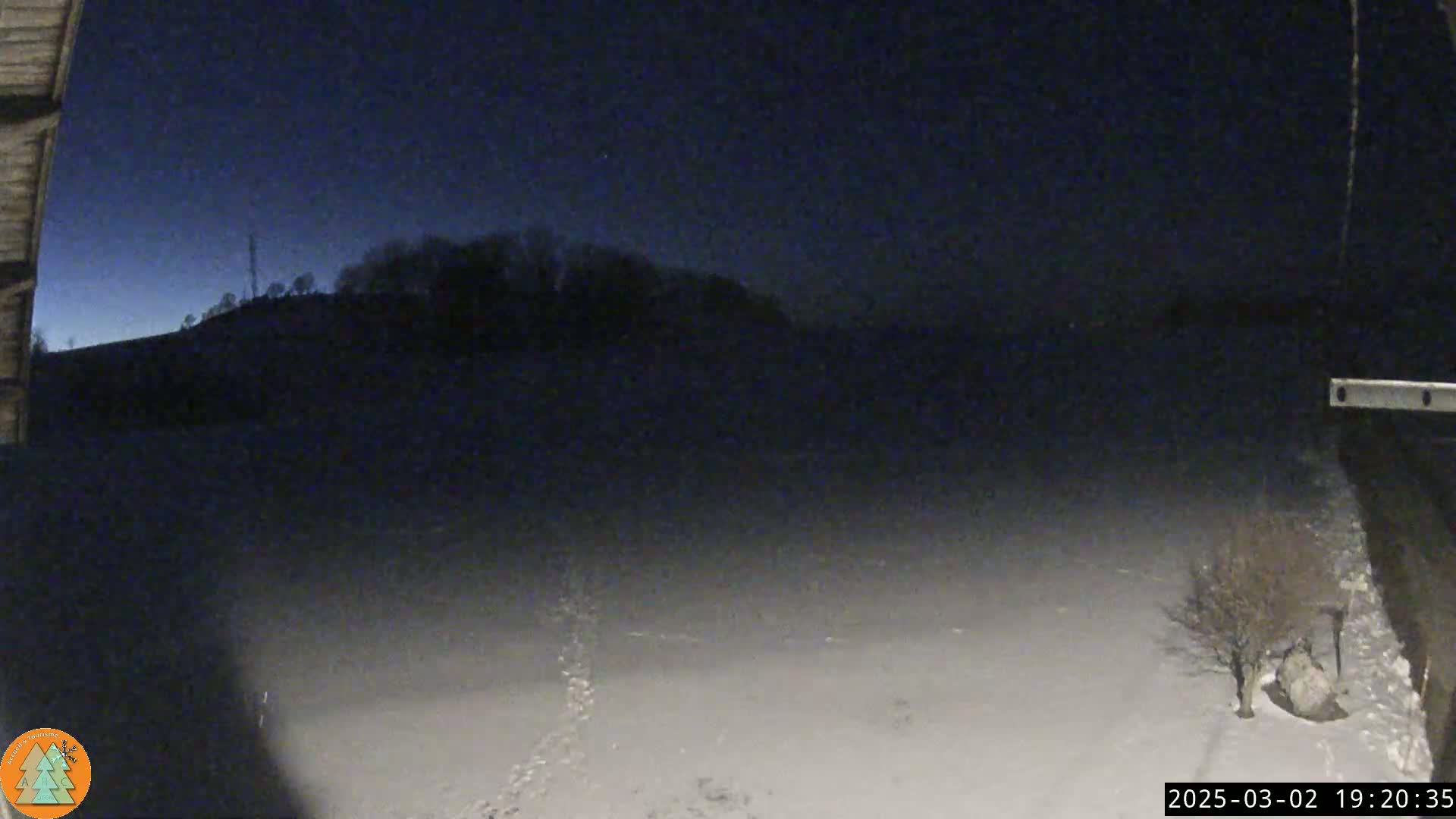 A snow-covered landscape is visible under a dark night sky, with a hill silhouetted in the distance and a few bare trees in the foreground.