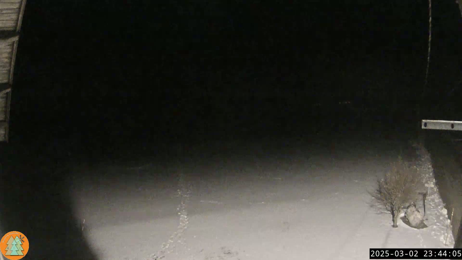 A snow-covered ground is visible at night, with a bare, small tree to the lower right, and a dark building at the upper left corner.