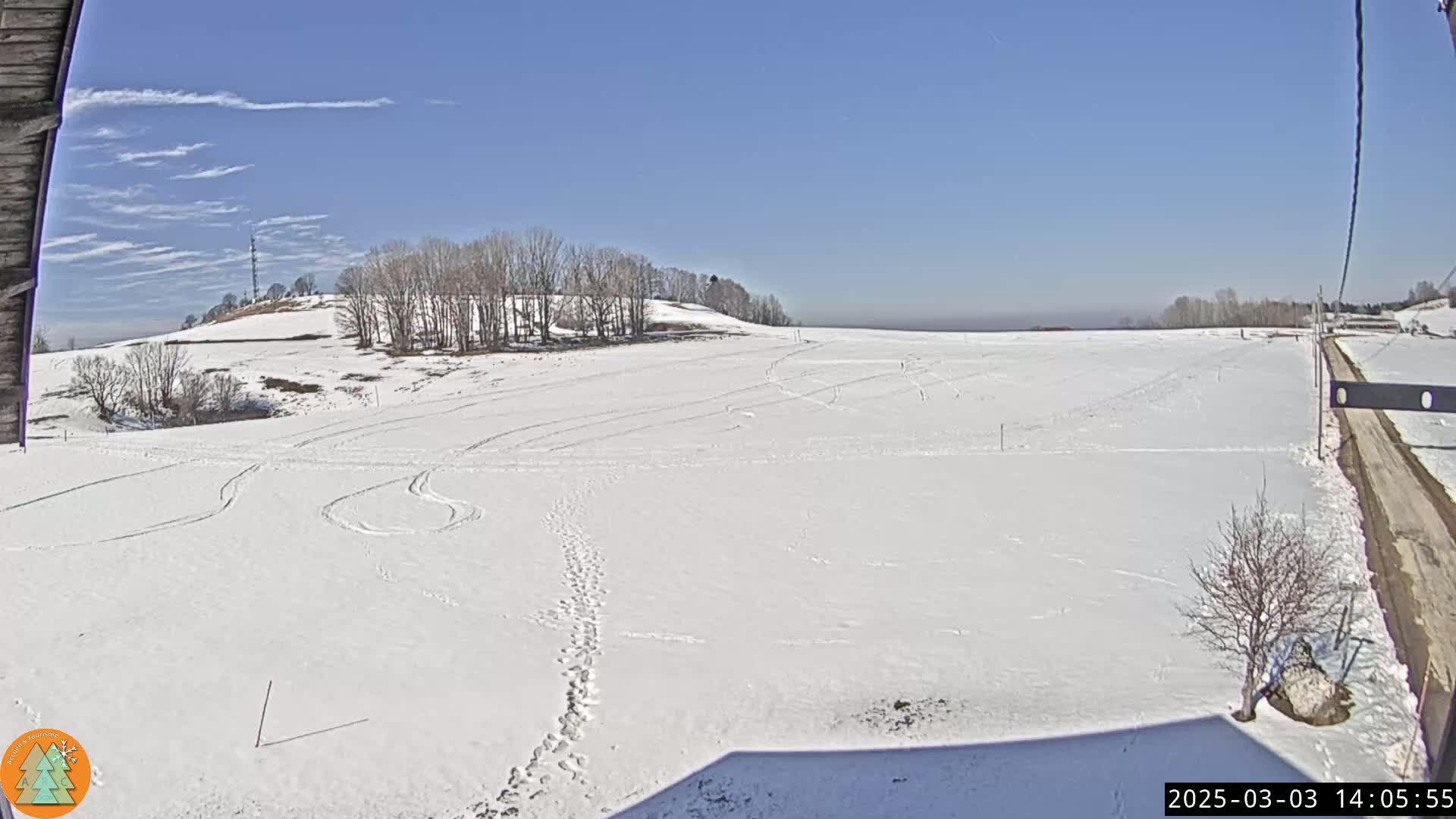 A snow-covered field stretches out under a clear blue sky, with a line of bare trees on a distant hill and a dirt road visible in the lower right corner.