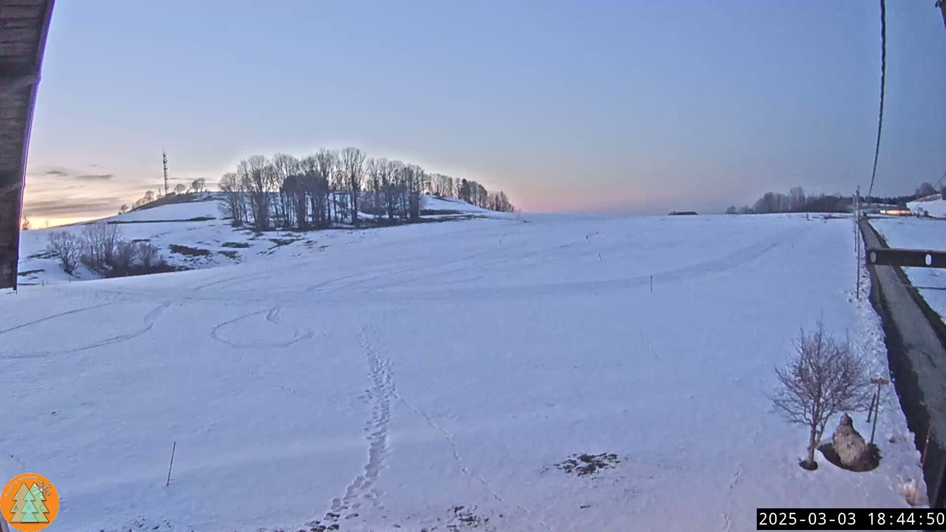 A snow-covered field with tire tracks and footprints extends to a line of leafless trees on a hill under a twilight sky.