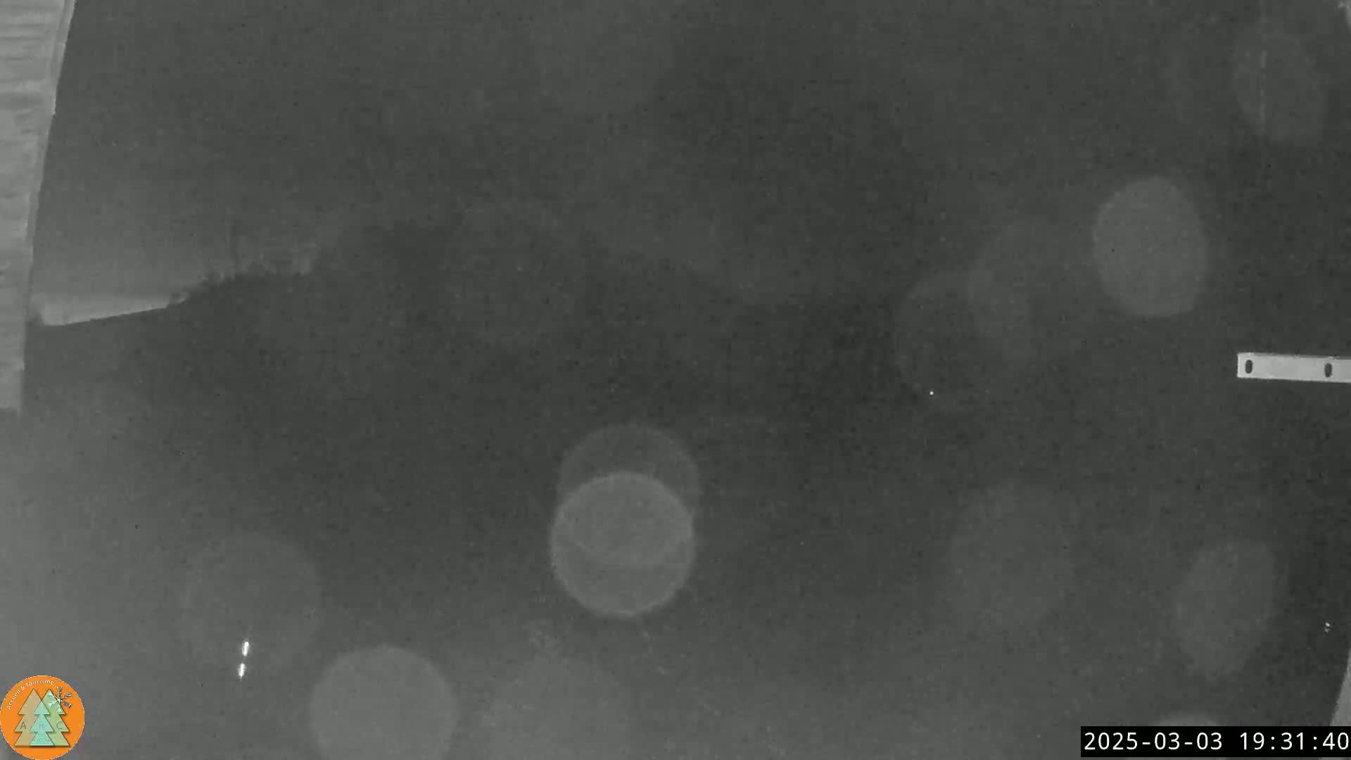 A nighttime, blurry, grayscale image shows a dark area with several indistinct light sources and what appears to be snow or rain.