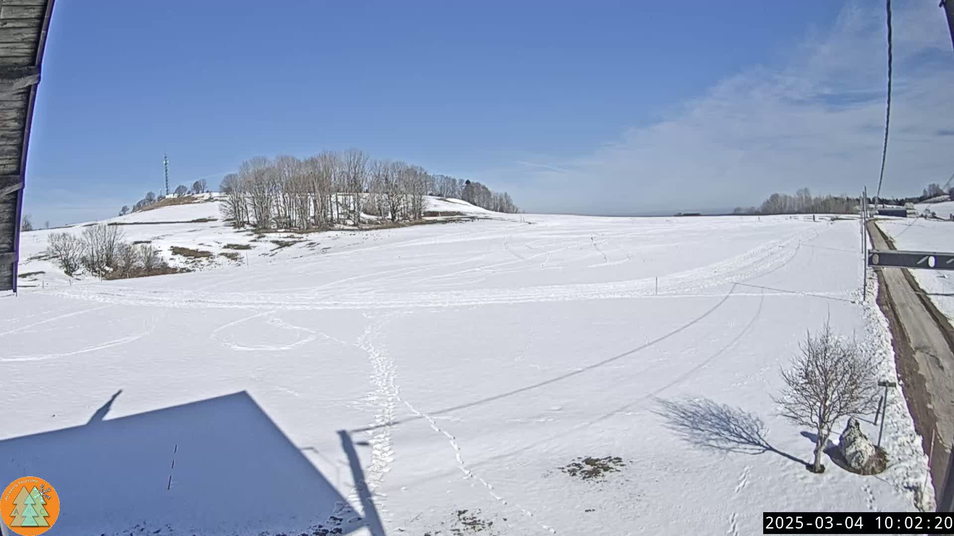 A snow-covered field stretches out under a clear blue sky, with a line of trees on a distant hill and a road visible in the bottom right corner.