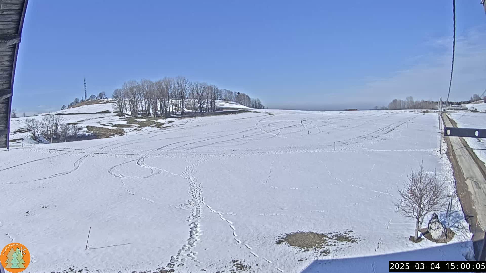 A snow-covered field with footprints and tire tracks stretches towards a treeline under a clear blue sky.
