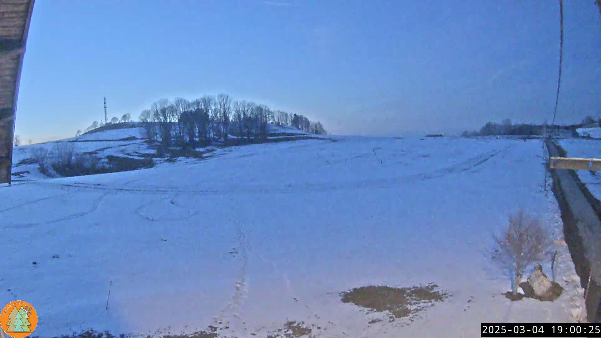 A snow-covered field stretches out under a twilight sky, with a line of trees on a small hill in the distance.
