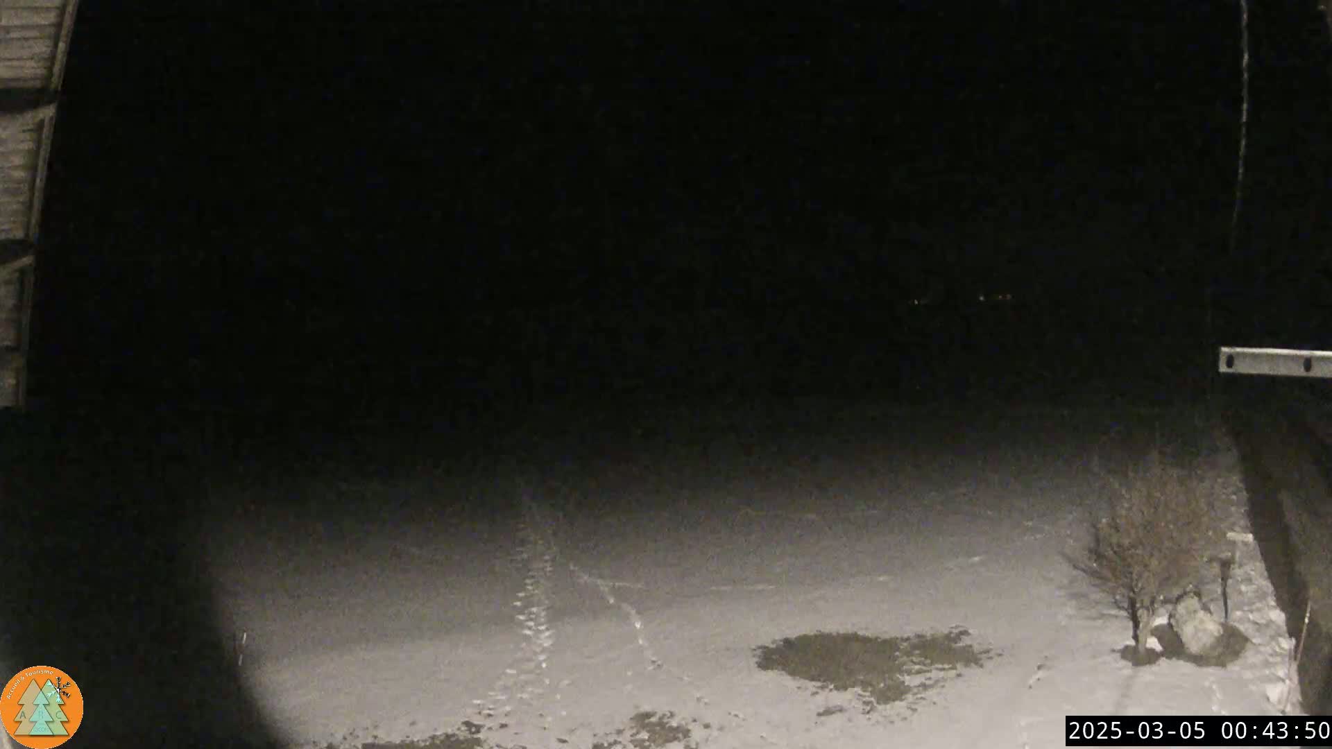 A nighttime view of a snow-covered yard seen from a dark structure, with a few small shrubs and footprints visible in the snow.