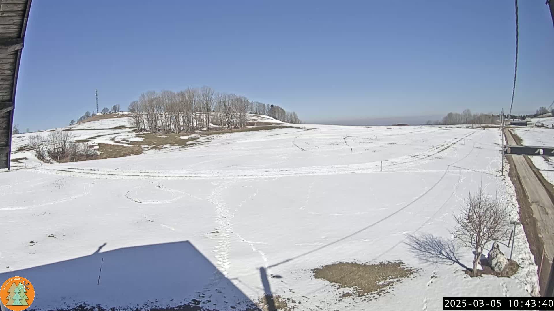 A snow-covered field stretches out under a clear blue sky, with a few bare trees and a dirt road visible in the distance.