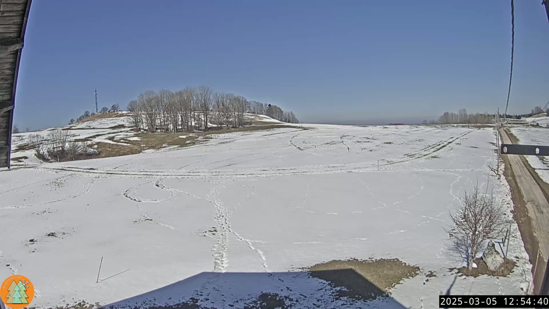 A snow-covered field with tire tracks and footprints stretches to a line of bare trees under a clear blue sky.