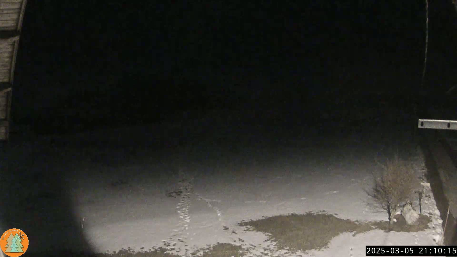 A nighttime, snow-covered ground is visible, showing footprints and a small, bare tree under a dark sky.