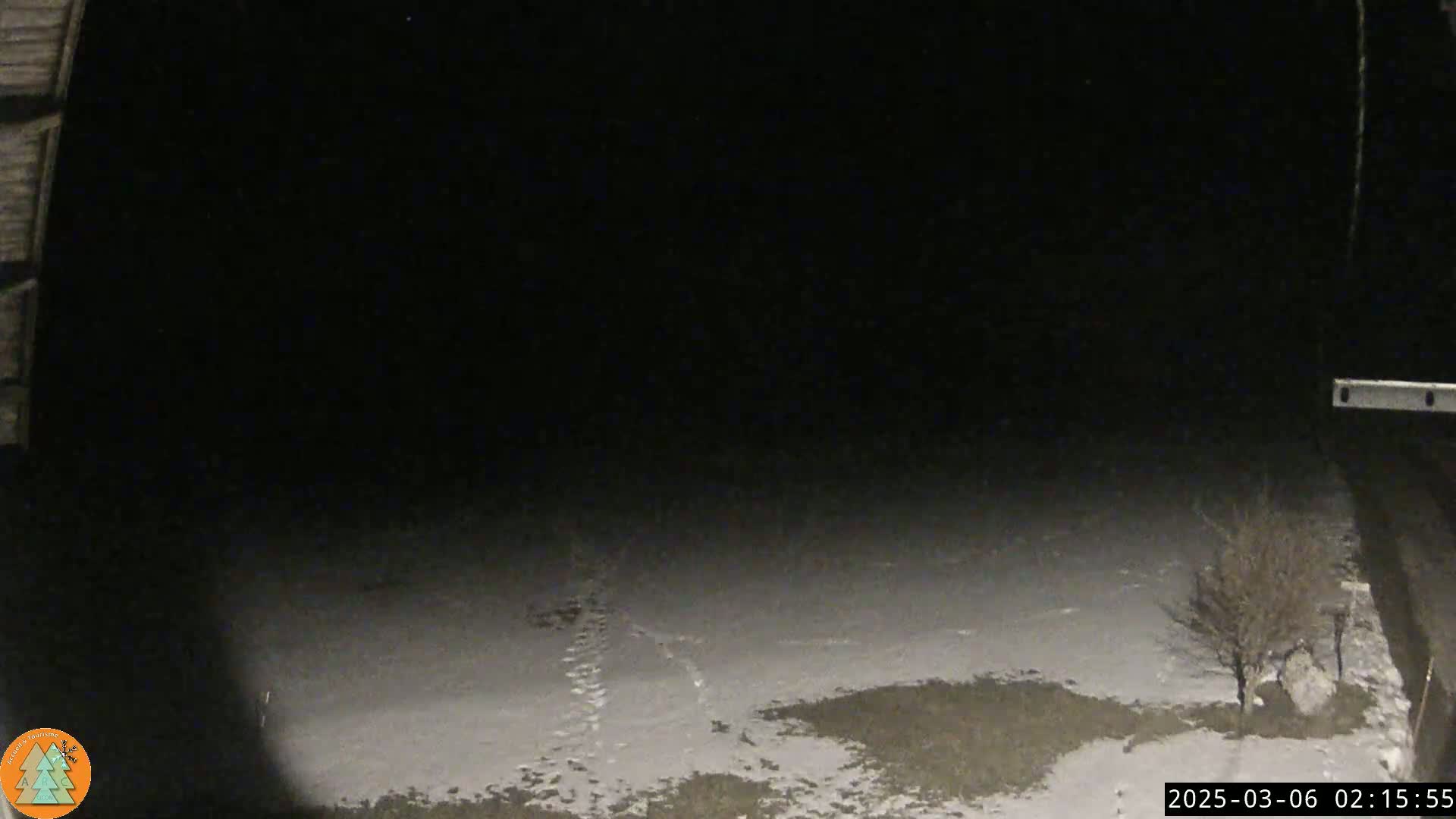 A nighttime view of a snow-covered ground with footprints and a bare tree under a dark sky.