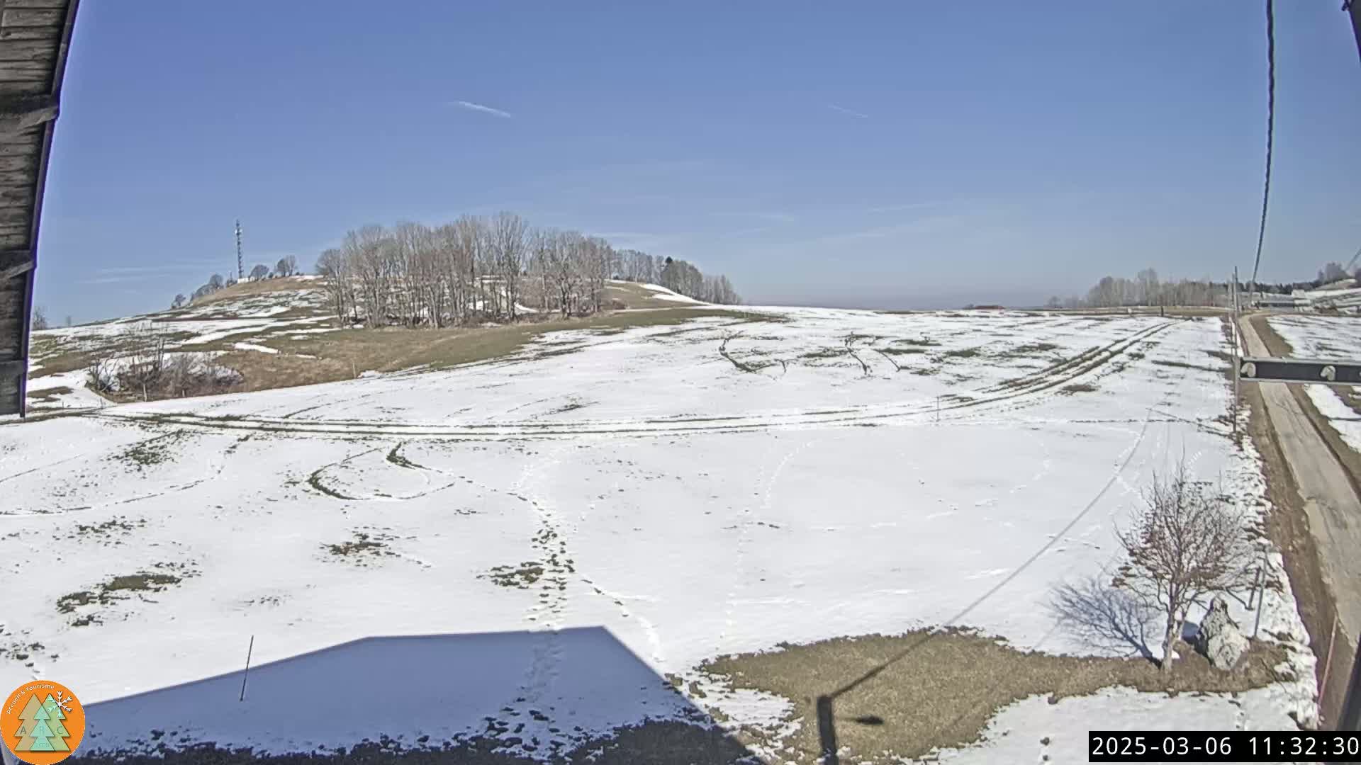 A snow-covered field stretches out under a clear blue sky, with a line of leafless trees in the distance.