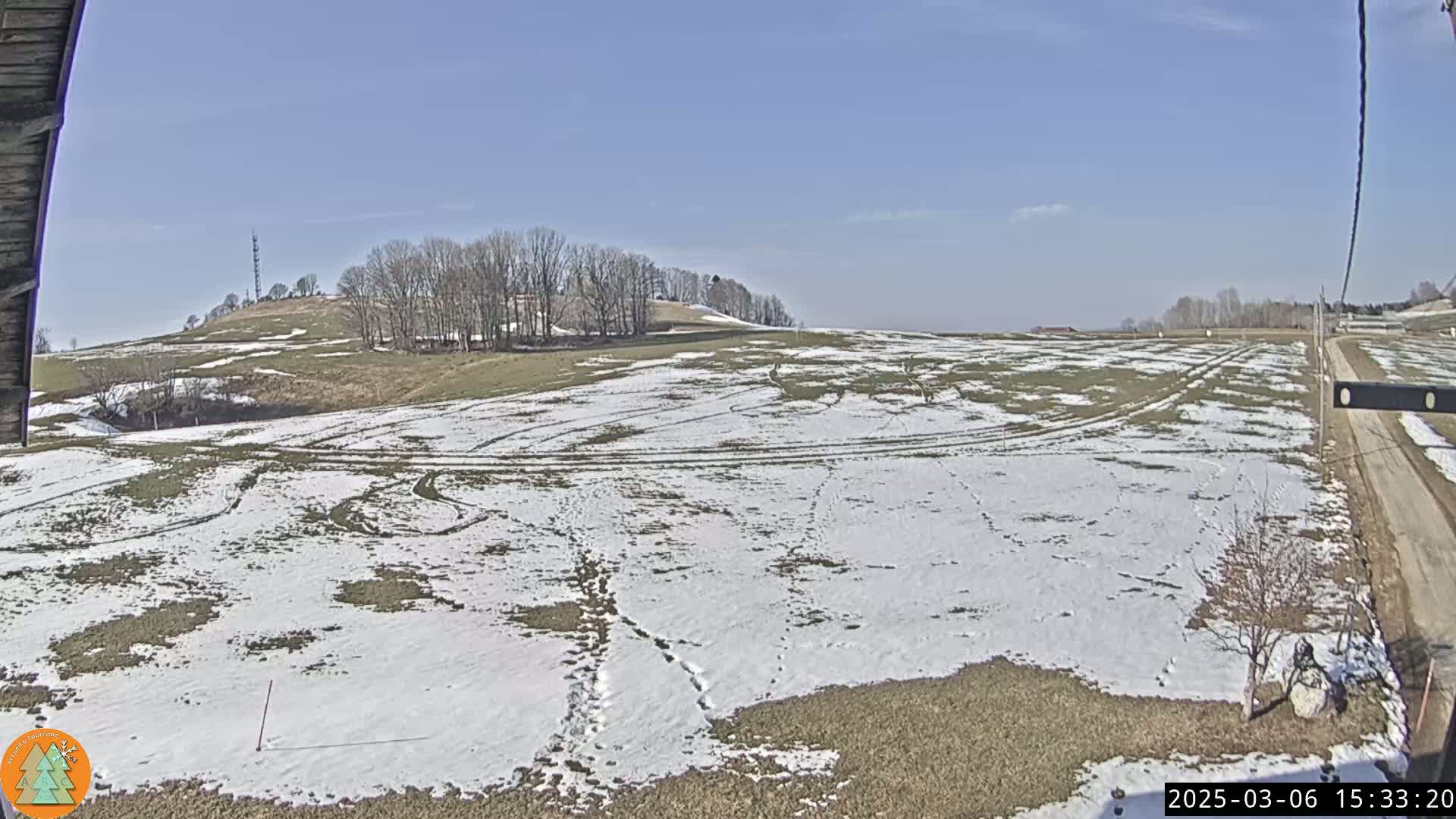 A snow-dusted field with tire tracks and footprints stretches out to a line of trees under a clear blue sky.
