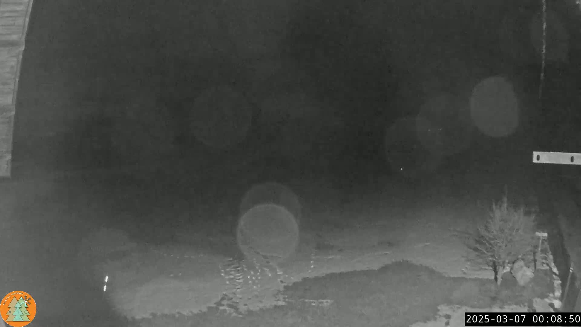 A nighttime, low-light view shows a snow-covered ground with a tree to the right, seen from what appears to be a security camera inside a structure.