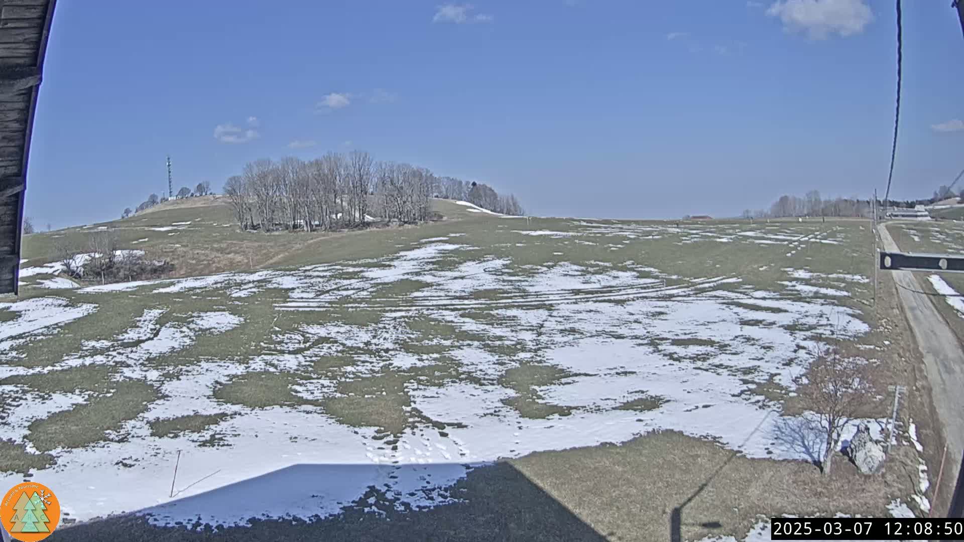 A partly snow-covered field stretches to a line of bare trees on a hill under a clear blue sky.