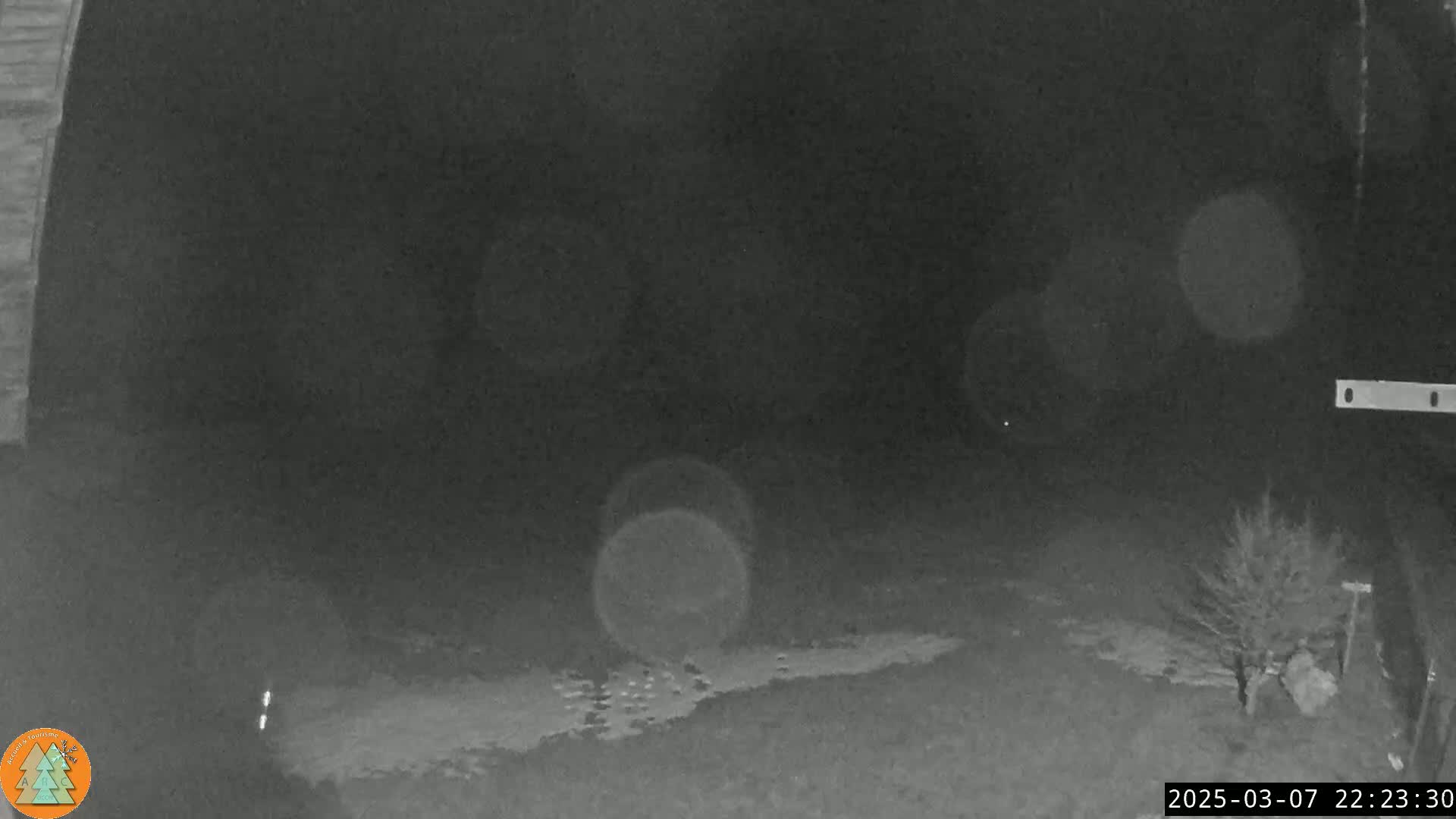 A nighttime, low-light view shows a mostly dark scene with a small tree and some light snow or ice on the ground.